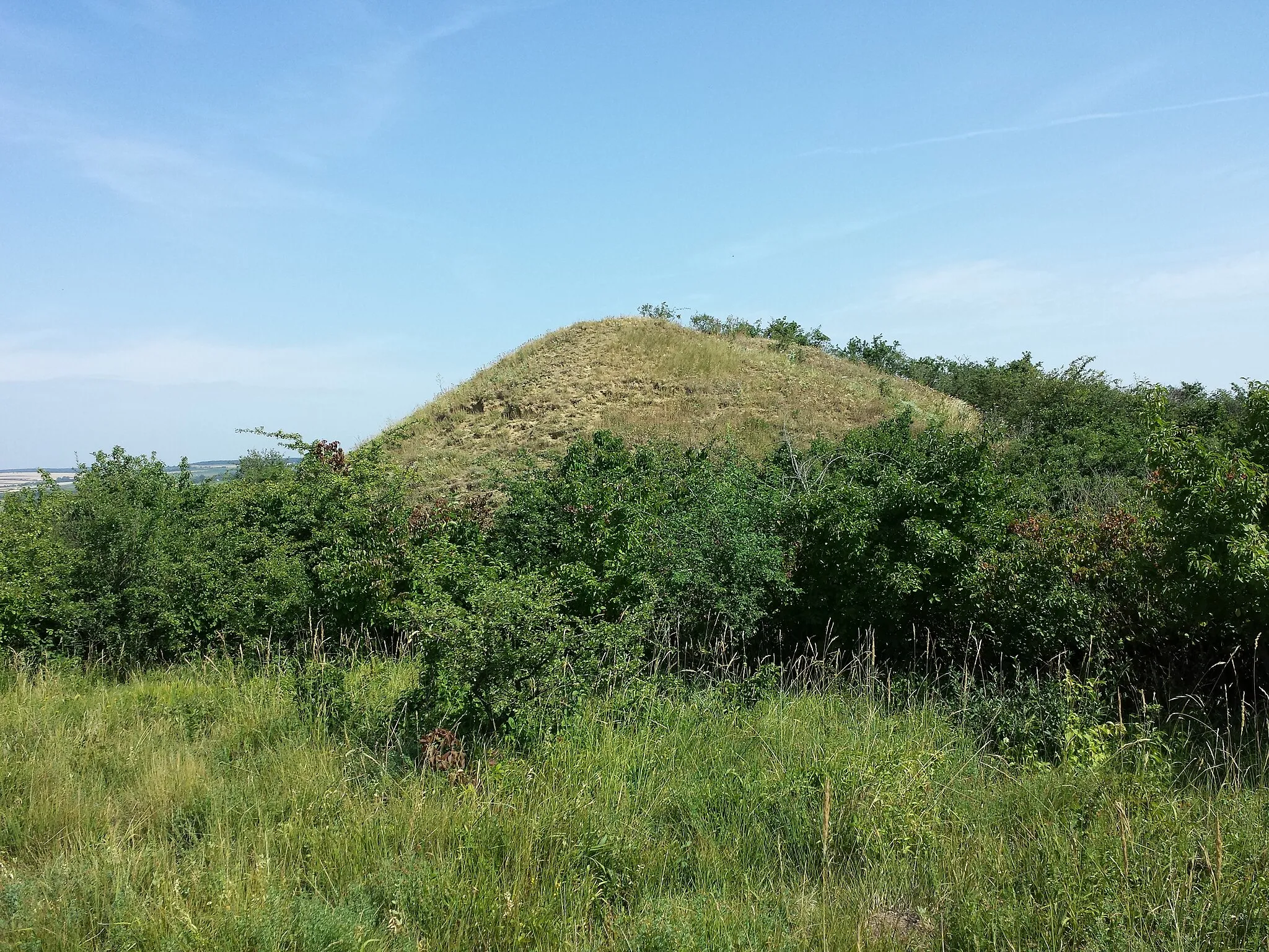 Photo showing: Dernberg, Nappersdorf-Kammersdorf, district Hollabrunn, Lower Austria - ca. 280 m ü. A.
Core of motte, view in a northward direction