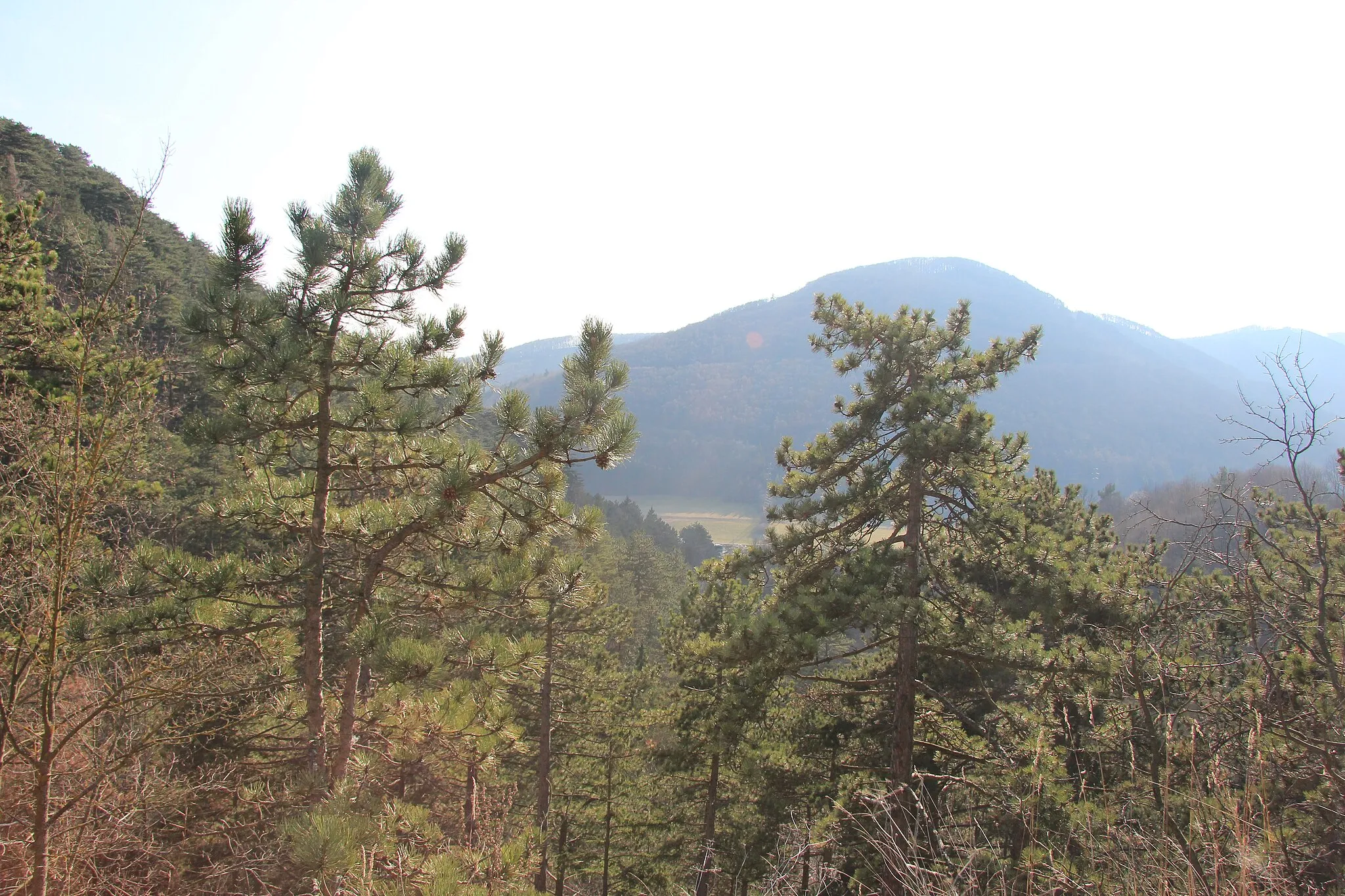 Photo showing: Blick in das Triestingtal vom Hafnerberg, Niederösterreich