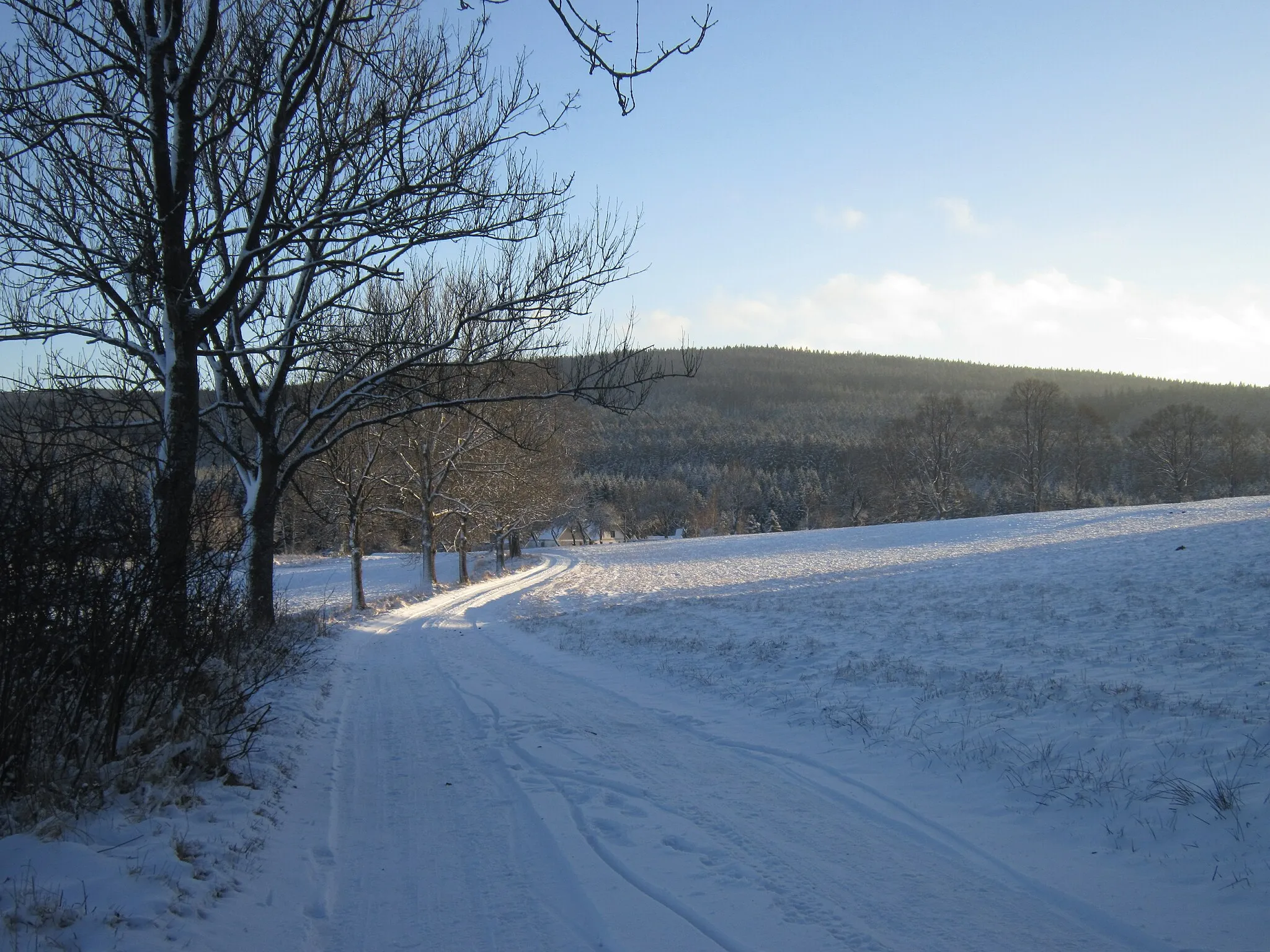 Photo showing: Pohled na Mlýnský Vrch od silnice ze Starých Hutí. V pozadí hora Točník.