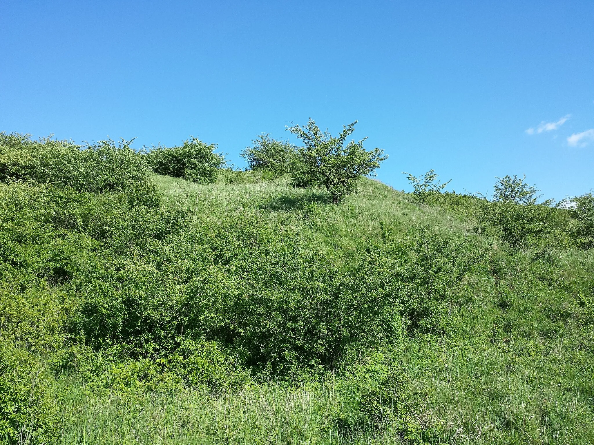 Photo showing: This media shows the natural monument in Lower Austria  with the ID KO-040.