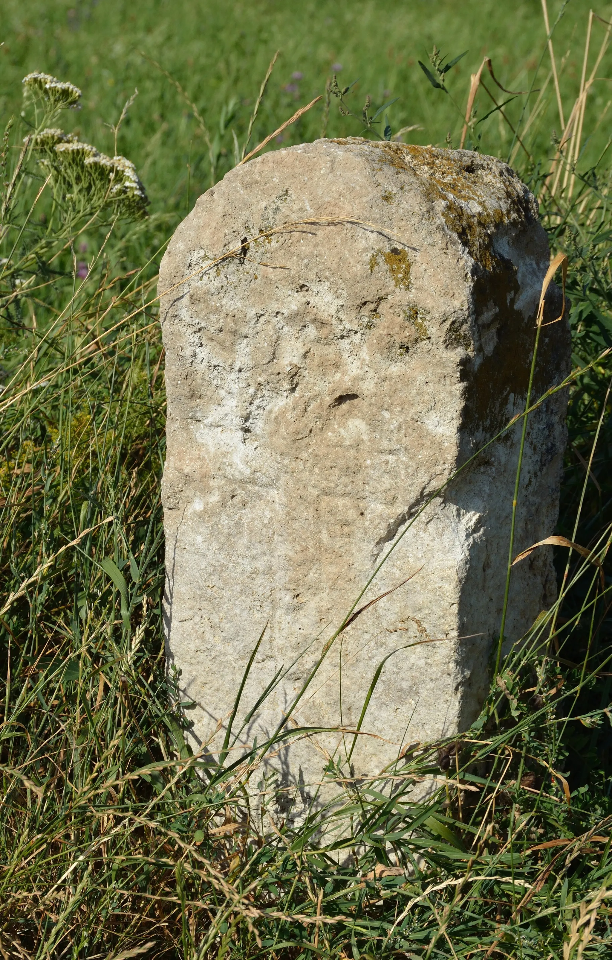 Photo showing: Boundary stone on top of the Sulzer Höhe between municipalities Kaltenleutgeben and Wienerwald, Lower Austria.