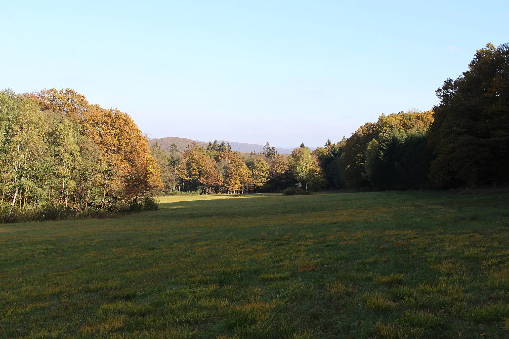 Photo showing: This media shows the natural monument in Lower Austria  with the ID BN-120.