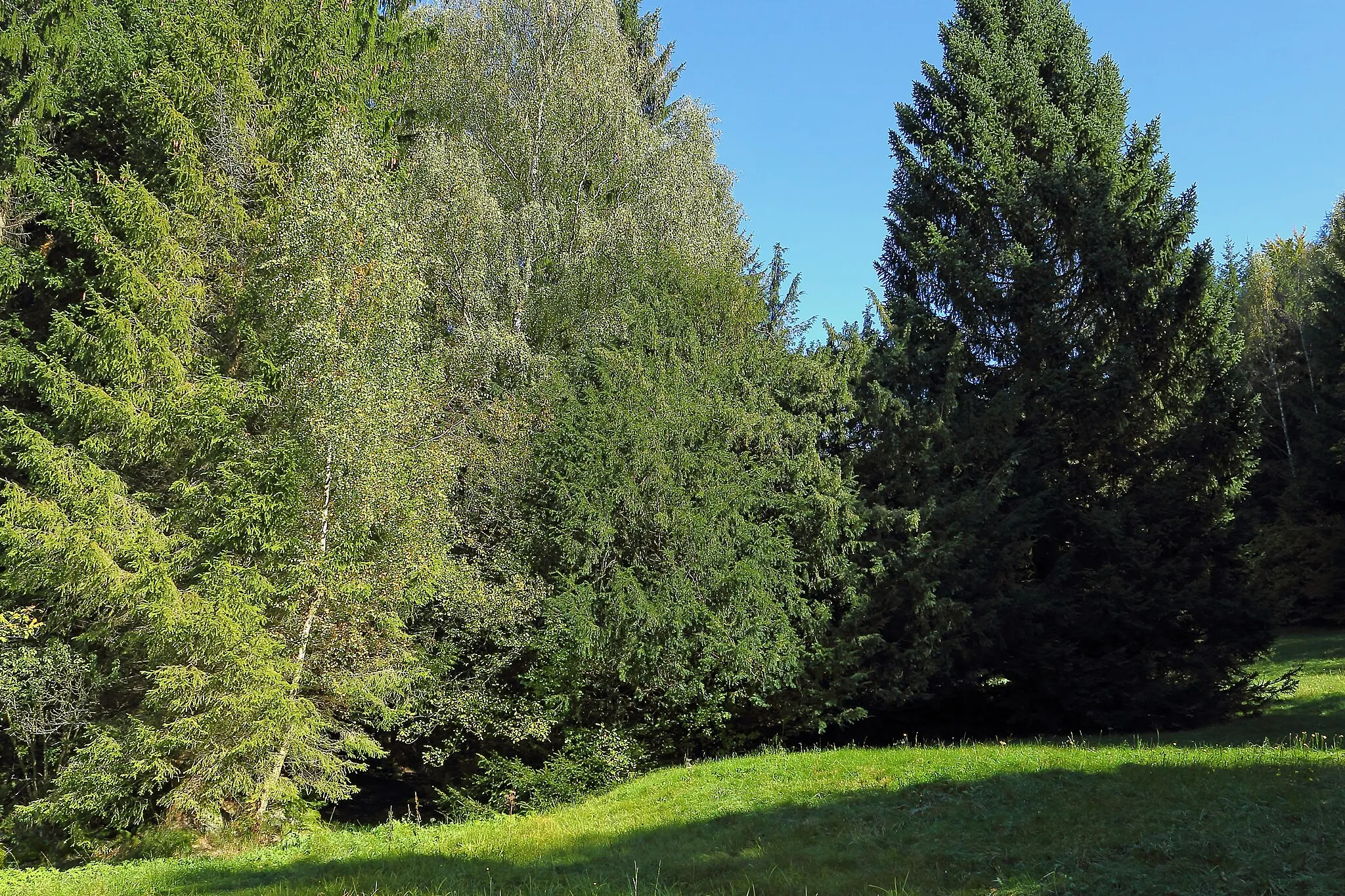 Photo showing: This media shows the natural monument in Lower Austria  with the ID GD-141.