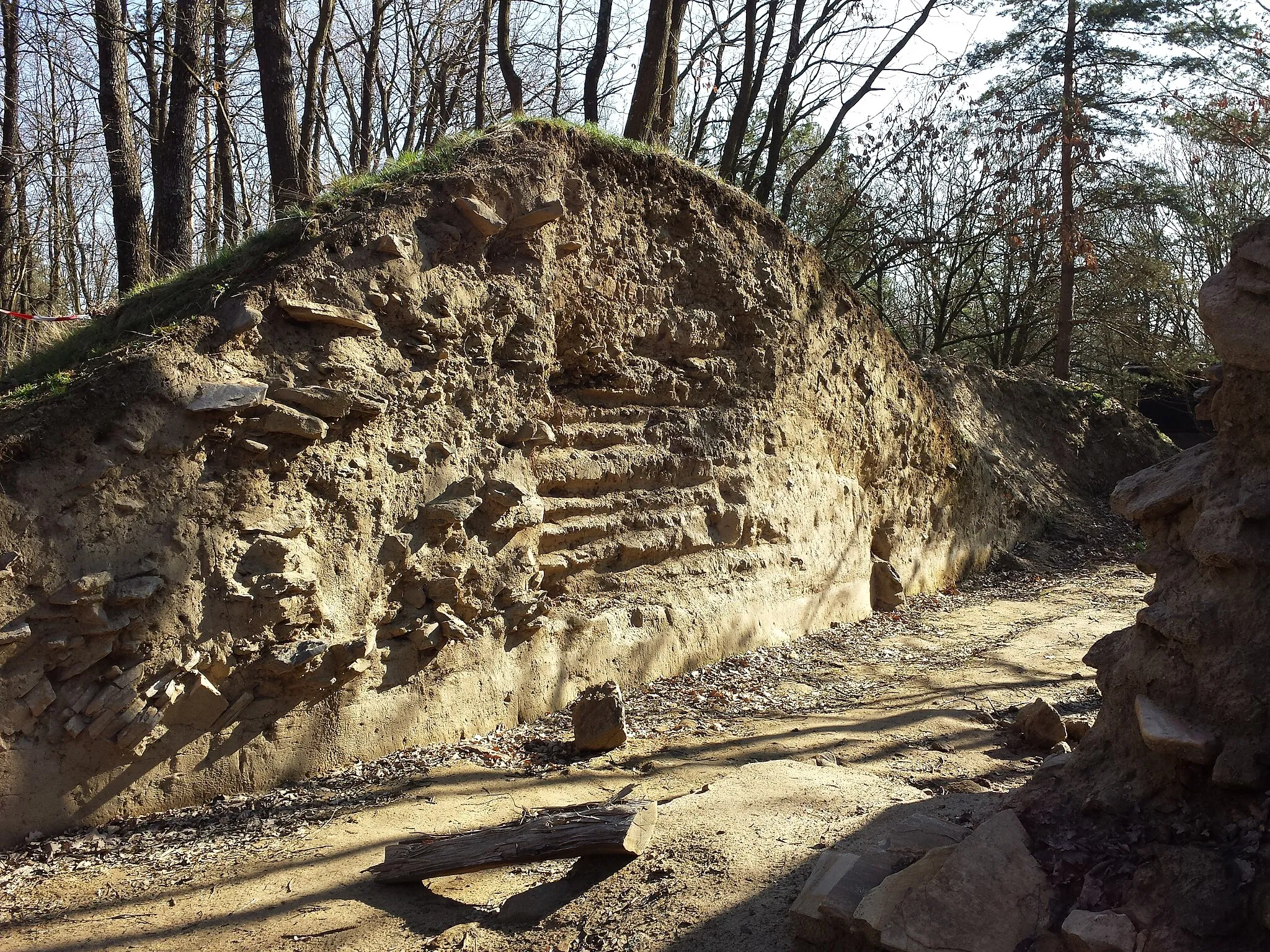 Photo showing: Schanzberg near Thunau, district Horn, Lower Austria - ca. 350 m a.s.l.
Wall