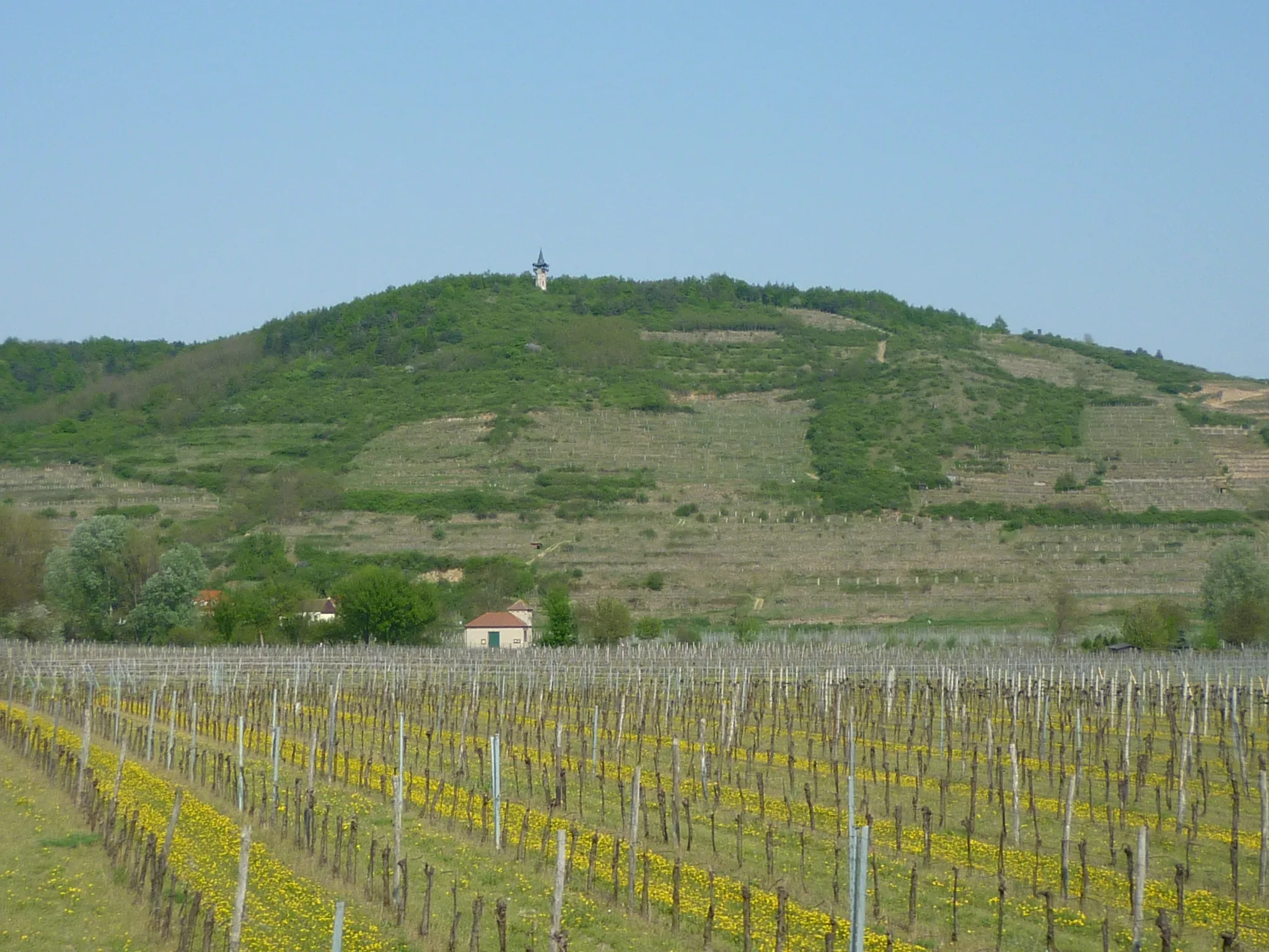 Photo showing: Stadt Langenlois, Ort Zöbing, Niederösterreich. Heligenstein mit Kamptalwarte.