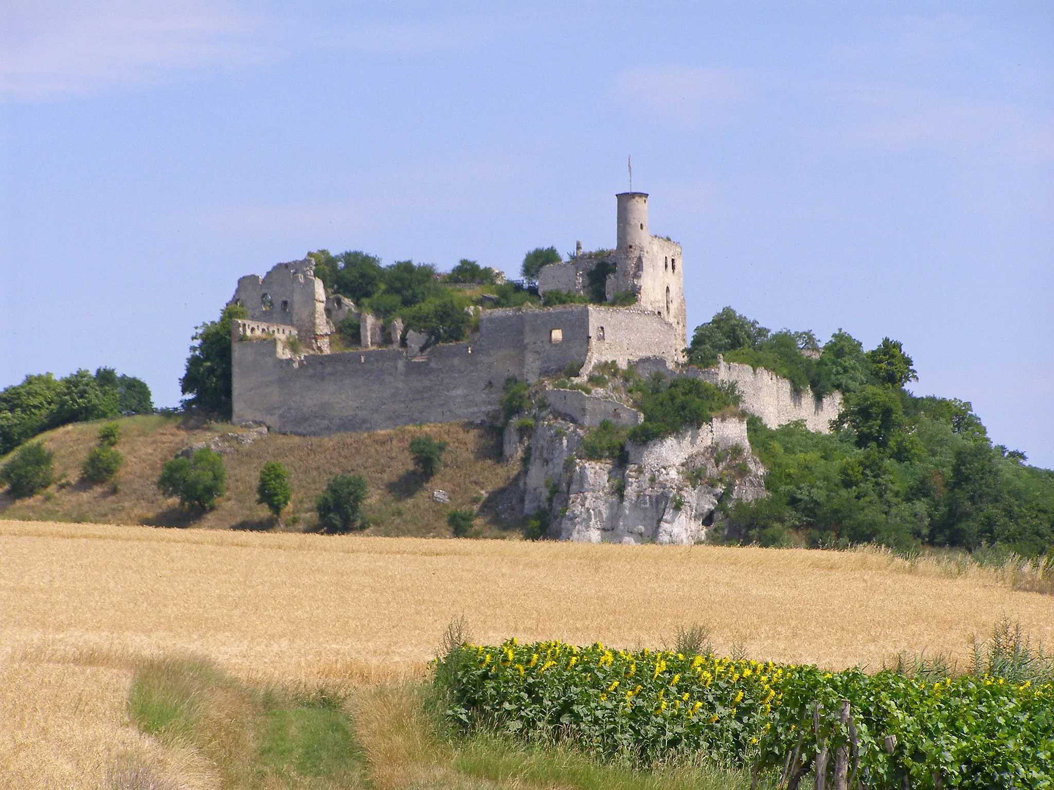 Photo showing: Castle Falkenstein