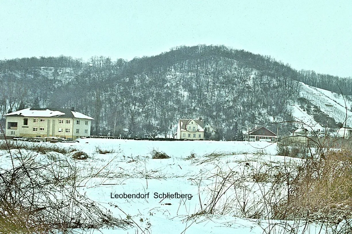 Photo showing: Leobendorf Schliefberg 1986 Bild von Hermann Schwammenhöfer