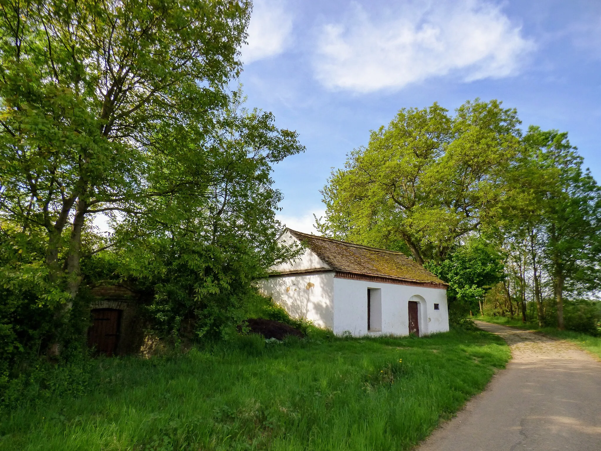 Photo showing: Kellergasse Wiesbergkellergasse in der KG Minichhofen in Ravelsbach