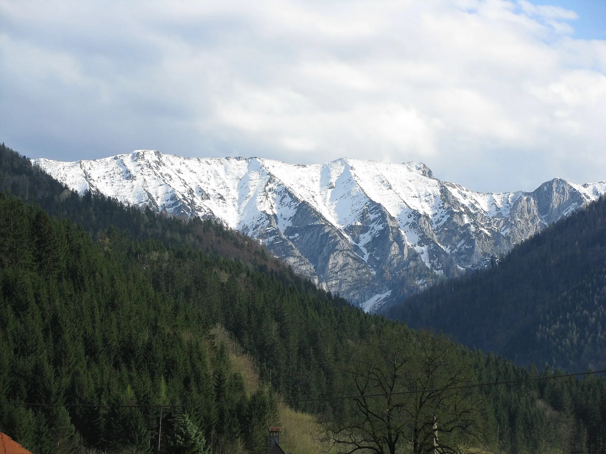 Photo showing: Der Gamsstein in den Göstlinger Alpen bzw. Ybbstaler Alpen fotografiert von seiner Nordseite von Hollenstein an der Ybbs