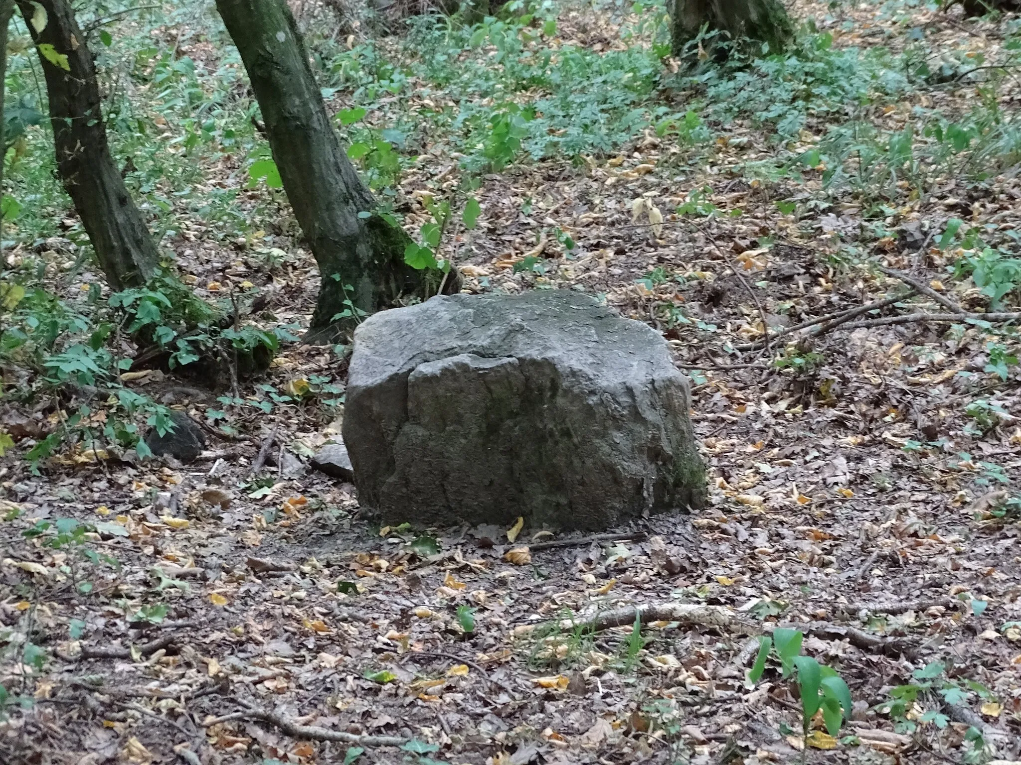 Photo showing: Ein Stein in der Gipfelregion des Heiderberges bei Donnerskirchen