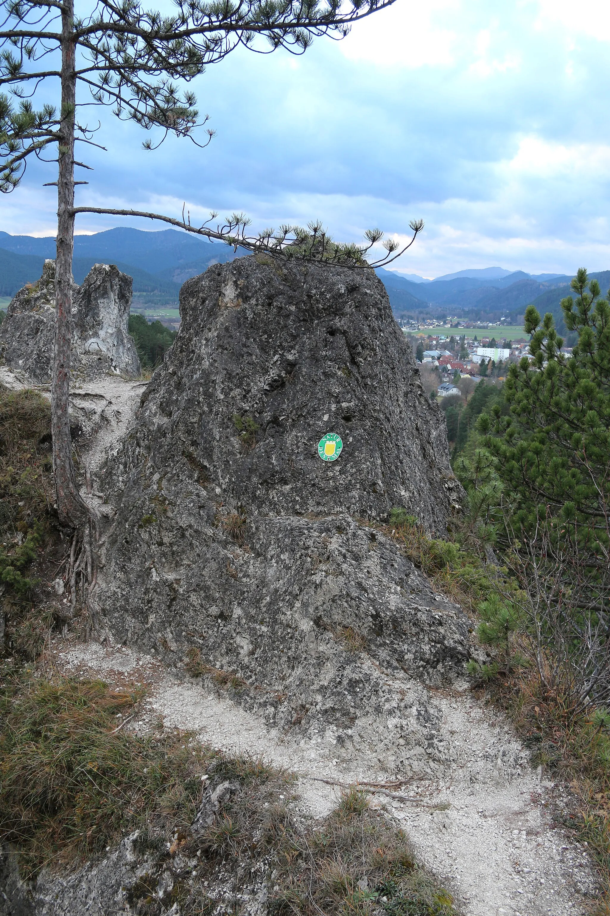 Photo showing: This media shows the natural monument in Lower Austria  with the ID WB-079.