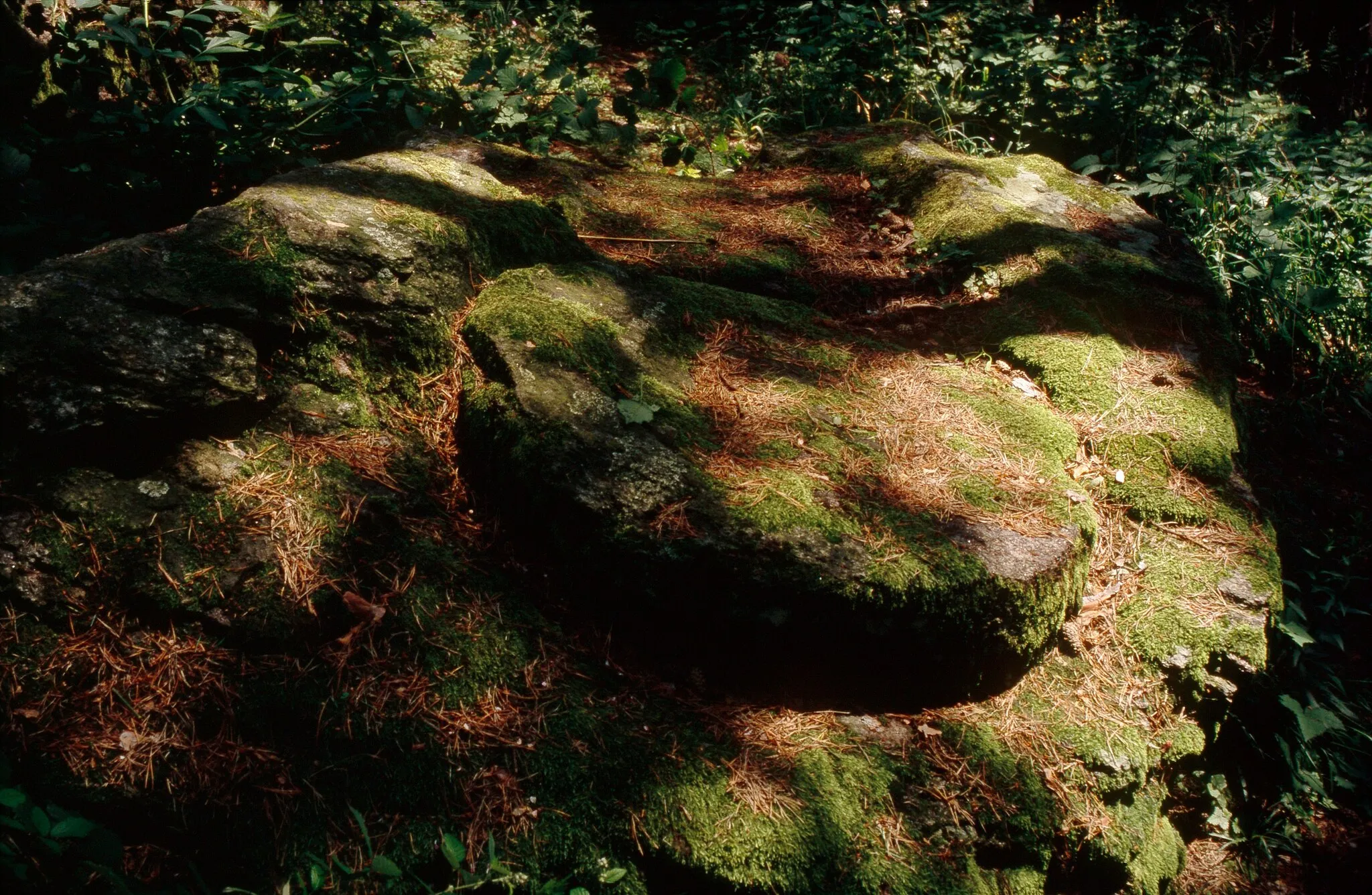 Photo showing: This media shows the natural monument in Lower Austria  with the ID KR-020.