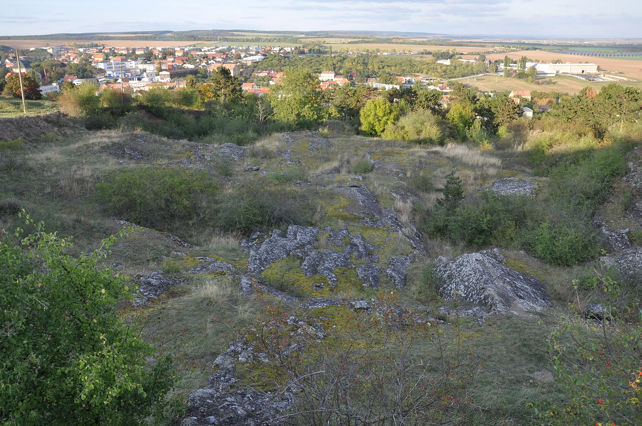 Photo showing: National natural monument Miroslavské kopce in Znojmo District, Czech Republic