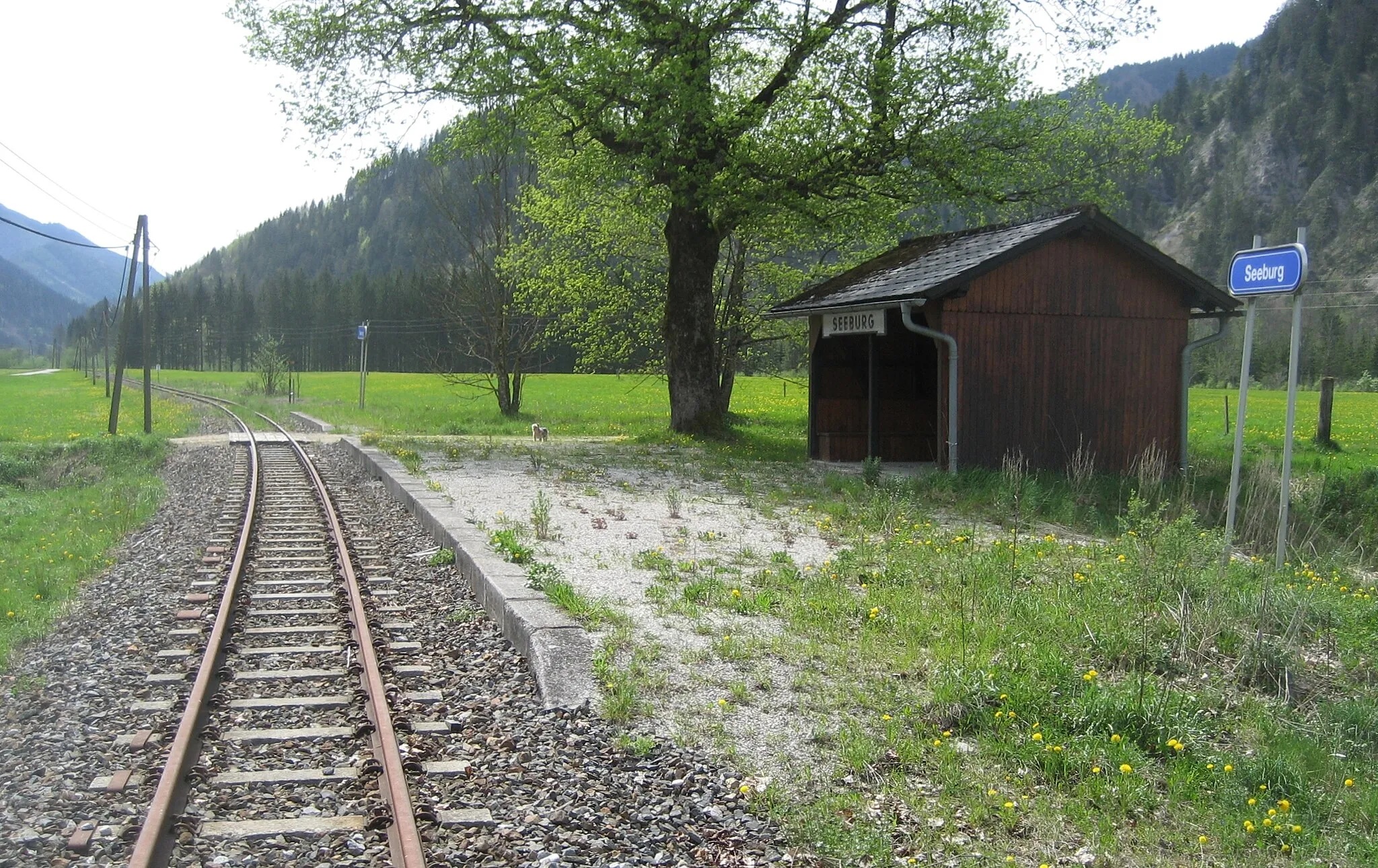 Photo showing: Seeburg train station in Lower Austria, Ybbstalbahn