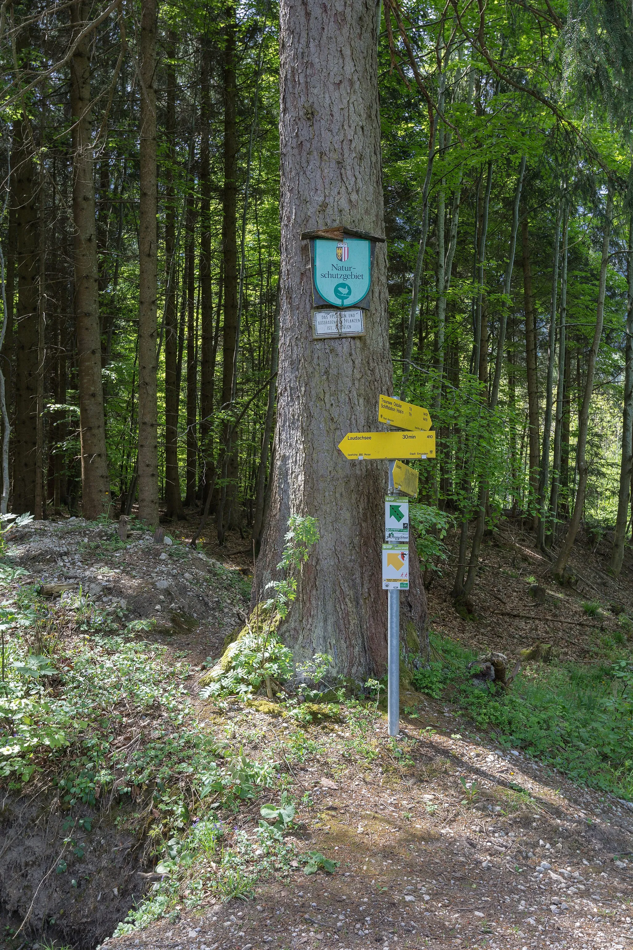 Photo showing: This media shows the nature reserve in Upper Austria  with the ID n148.