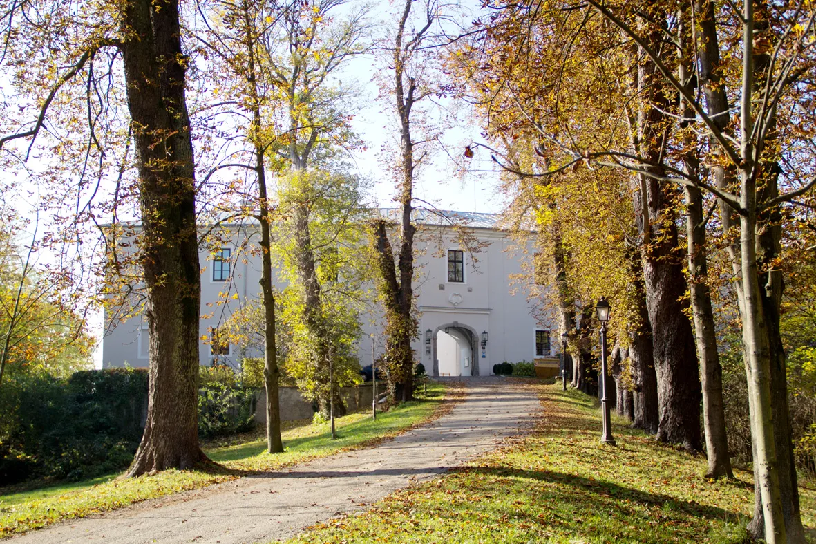 Photo showing: Schloss Ebelsberg Haupteingang