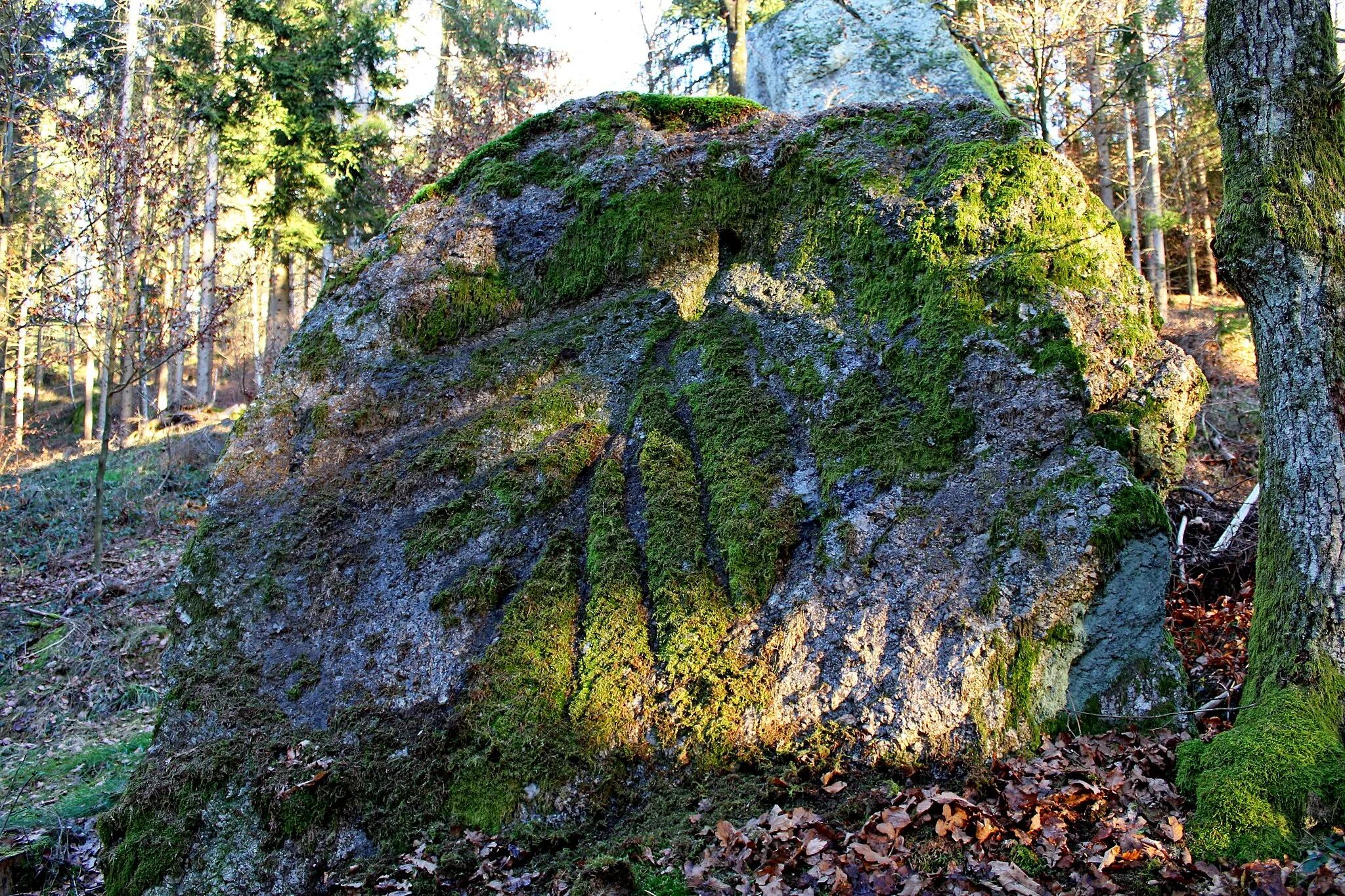 Photo showing: This media shows the natural monument in Upper Austria  with the ID nd394.