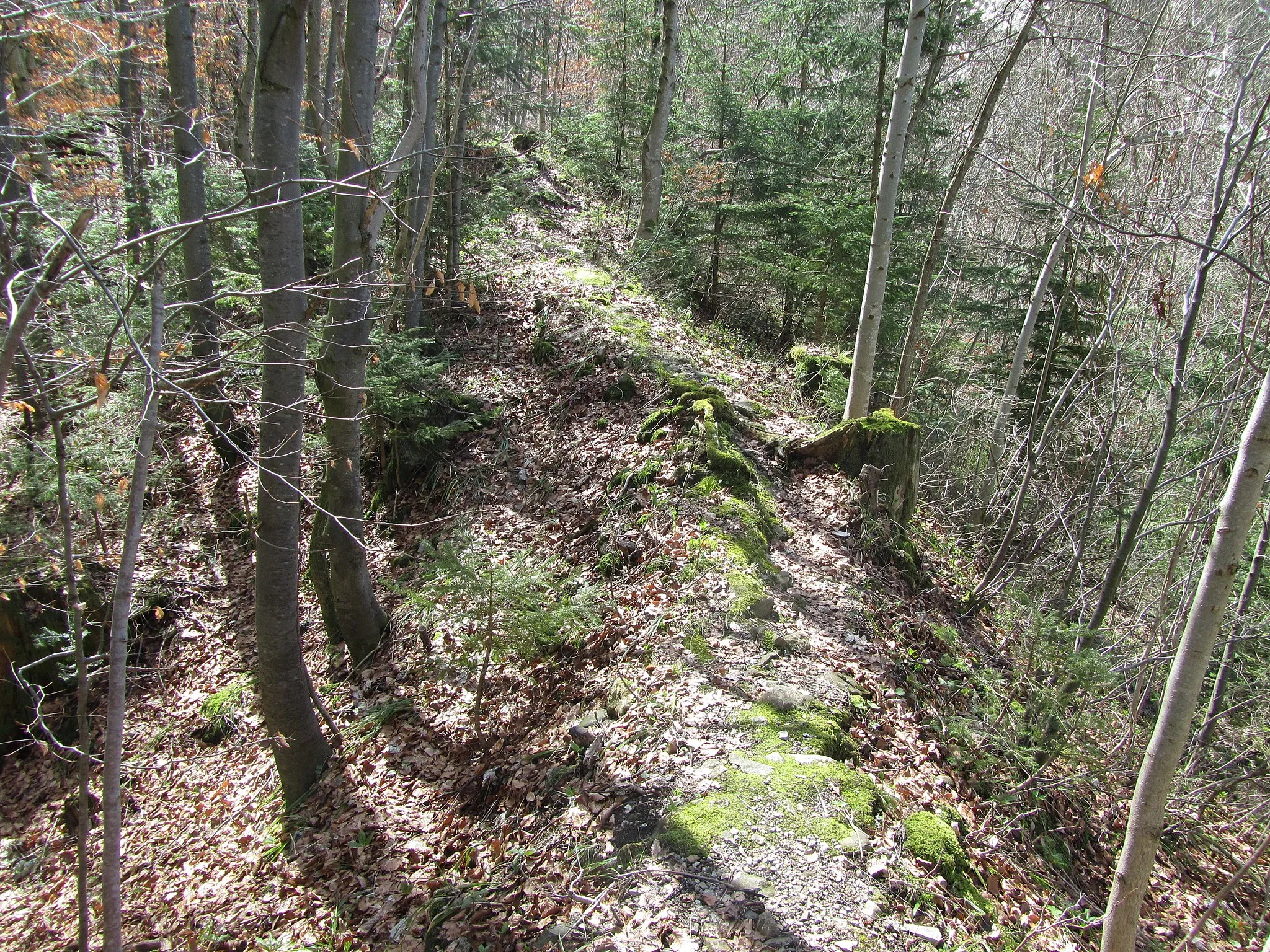 Photo showing: Burgruine Wildenegg (Wildeneck)