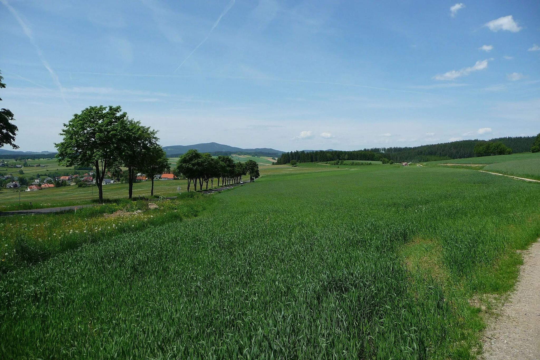 Photo showing: Surrounding area of Schenkenfelden