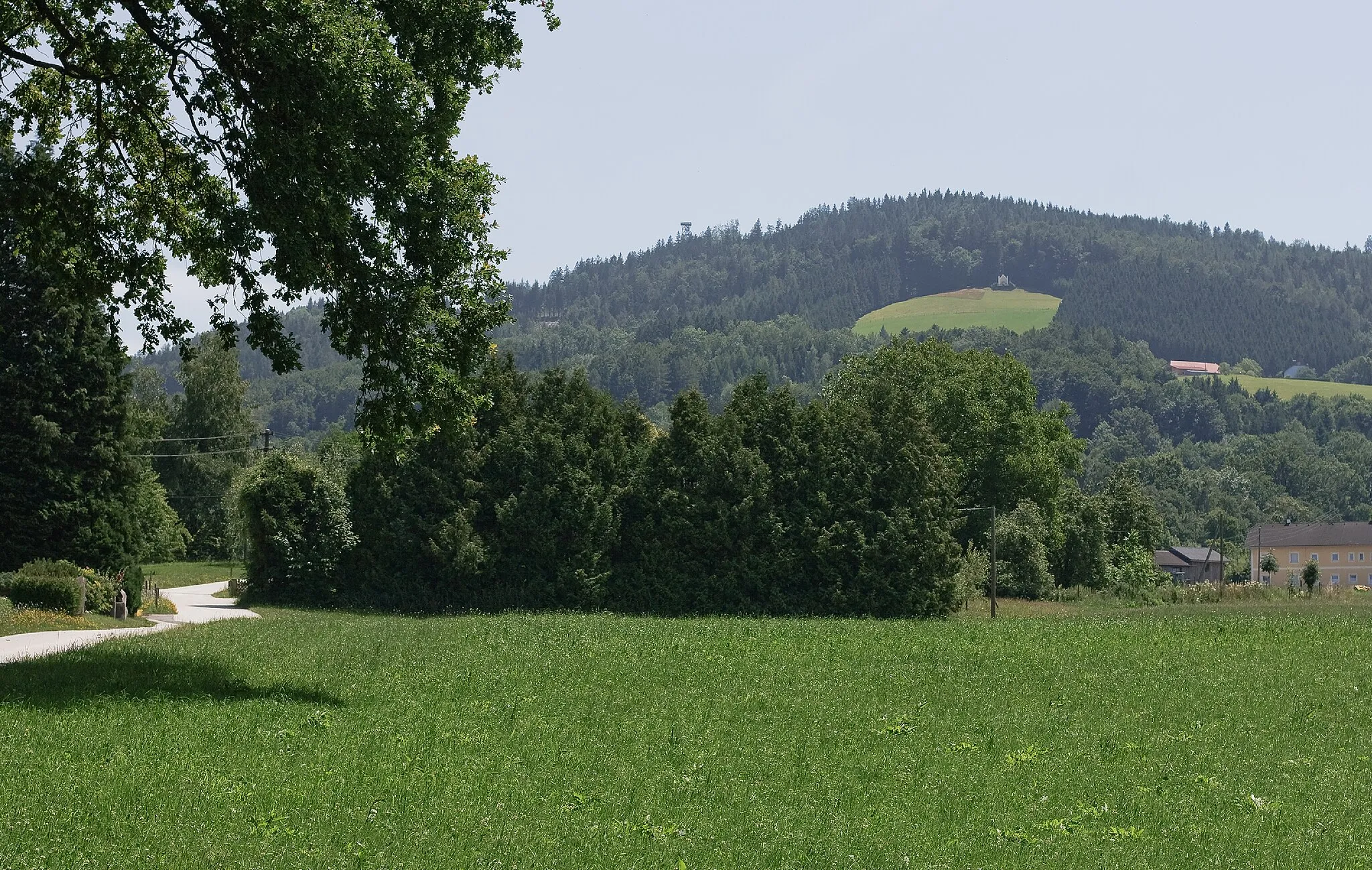 Photo showing: Der Damberg in Sankt Ulrich bei Steyr.