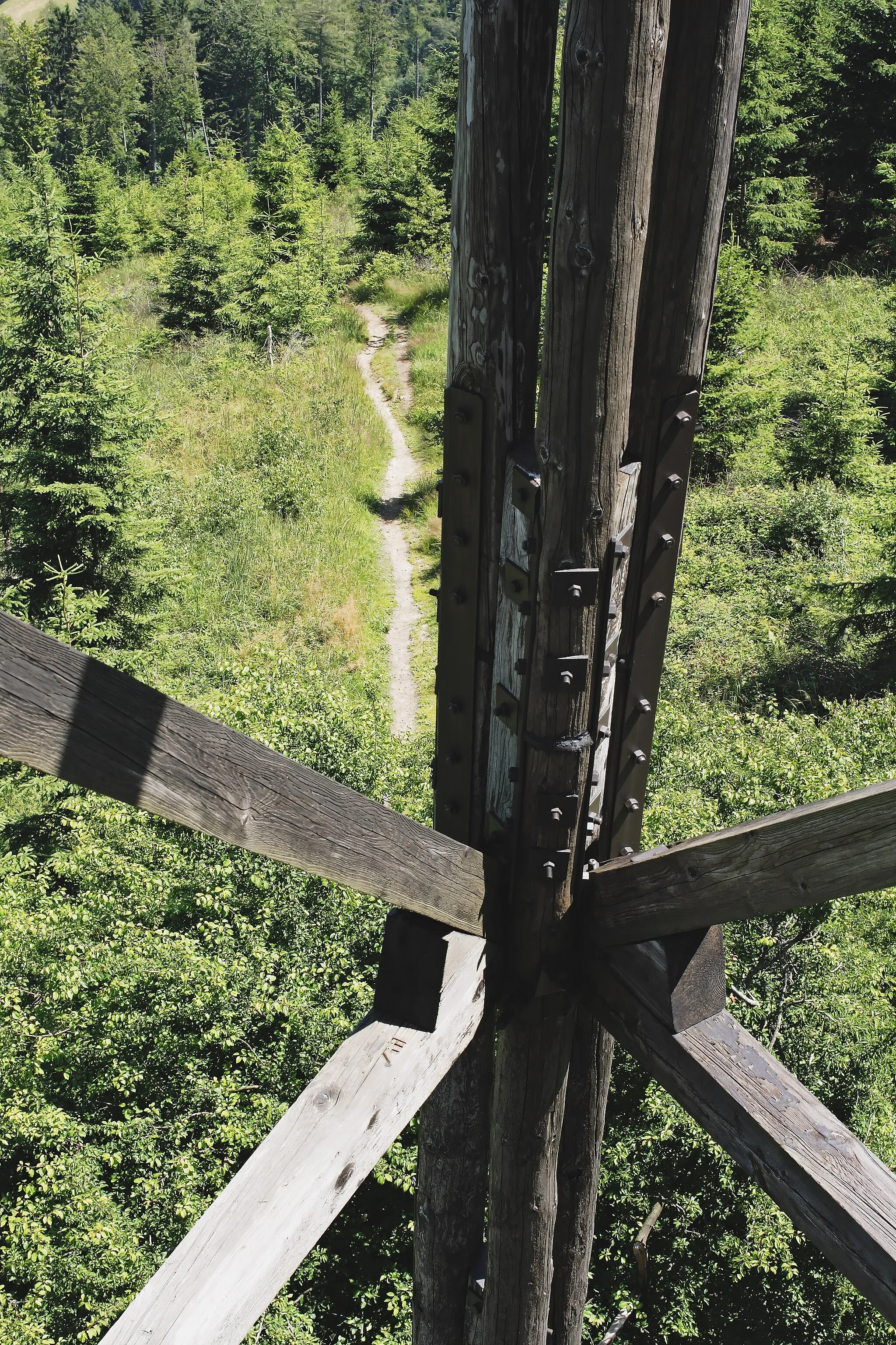 Photo showing: Blick aus dem Stiegenaufgang der Dambergwarte (St. Ulrich bei Steyr).