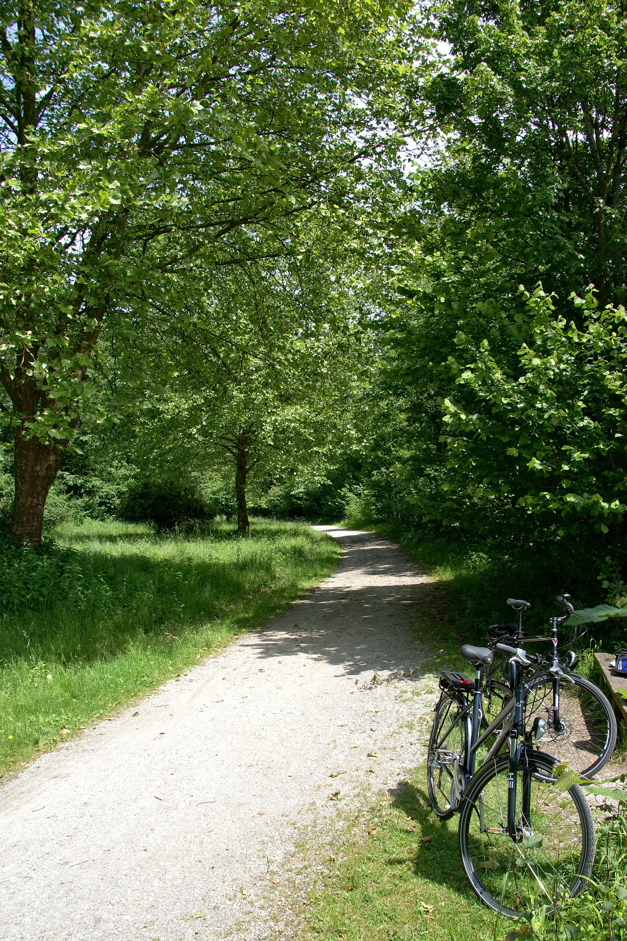 Photo showing: Cycle route along the Inn River between Passau and Wernstein
