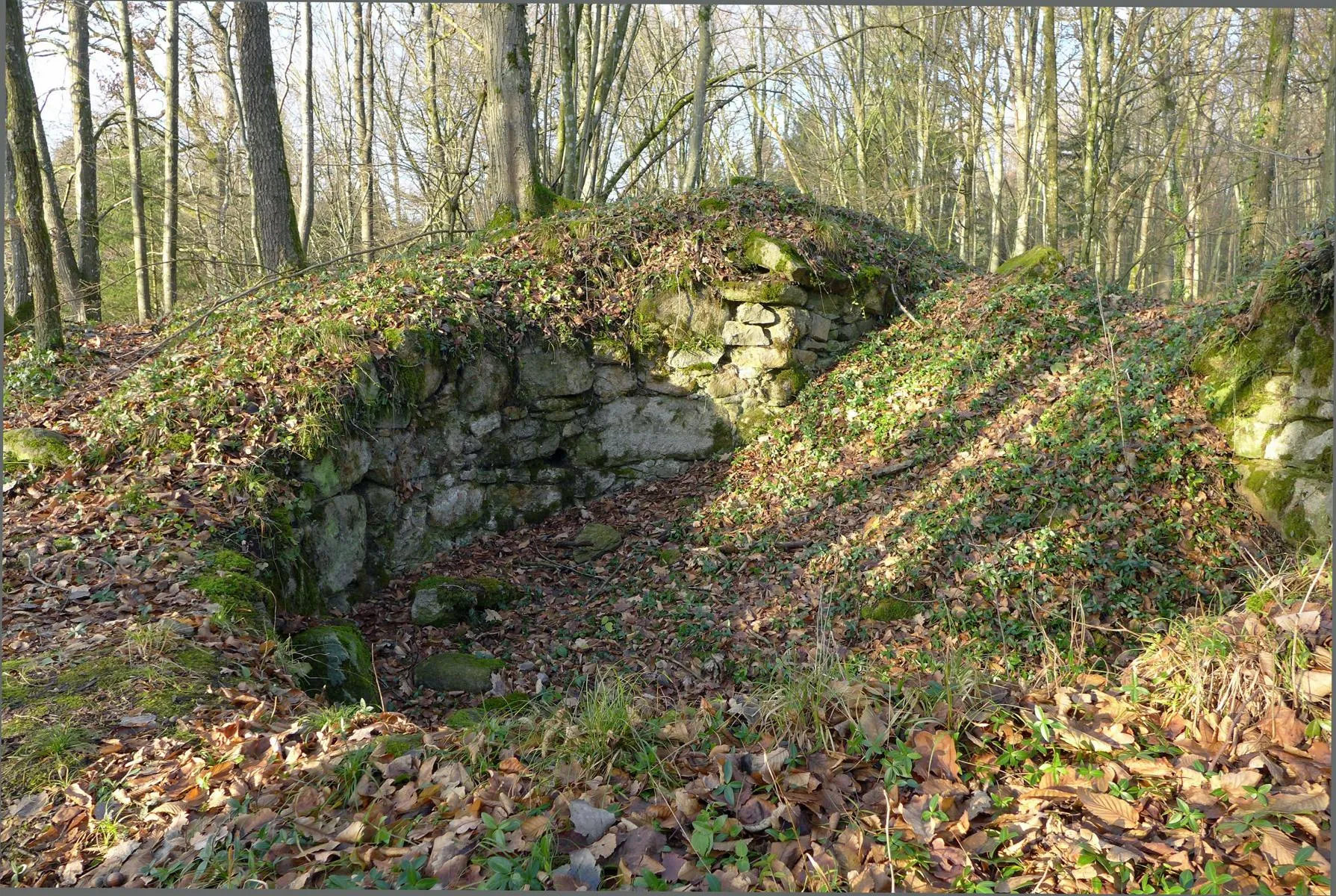 Photo showing: Burgruine Mitterberg bei Perg (Oberösterreich) - Foto 2018. Innere (zweite) Vorburg. Rundturm