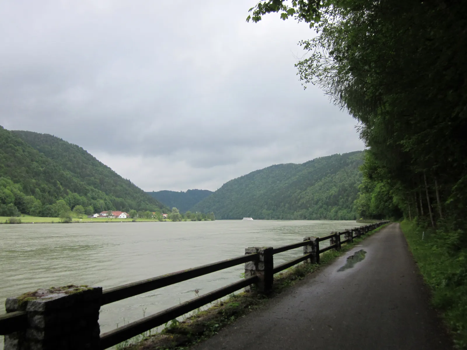 Photo showing: Donauradweg near Schlögen, Oberösterreich. Looking at Grafenau.