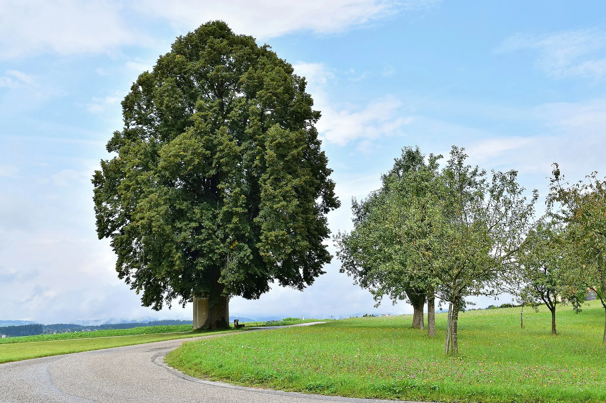 Photo showing: This media shows the natural monument in Upper Austria  with the ID nd587.