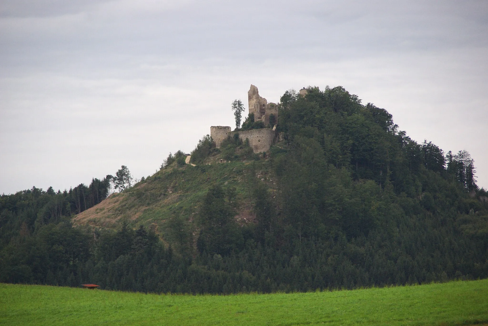 Photo showing: Ruin Ruttenstein (Upper Austria)