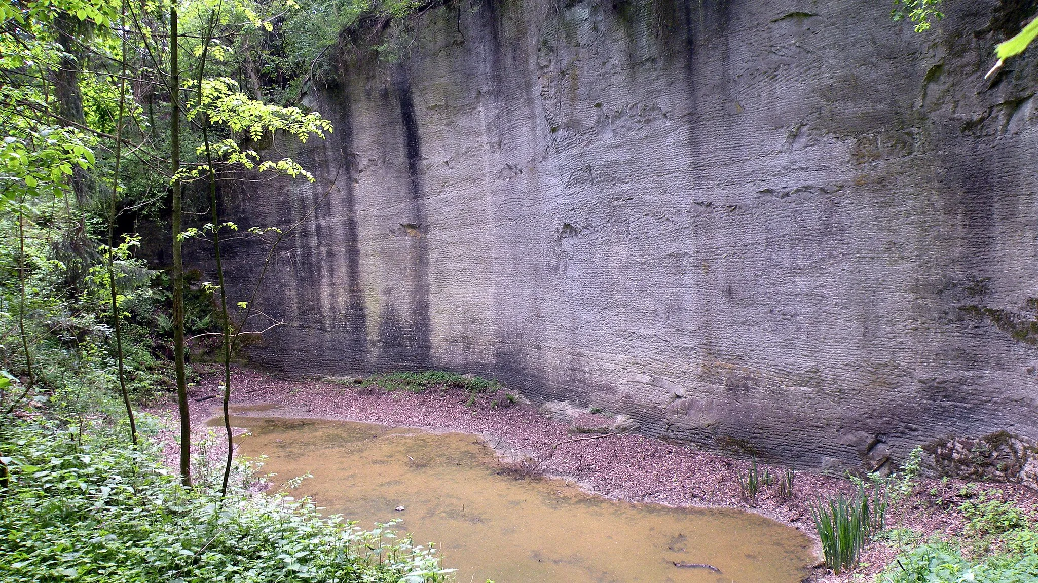 Photo showing: Aufgelassener Mühlsteinbruch in Lanzenberg. Im Südwesten von Lanzenberg bei Perg in Oberösterreich finden sich aufgelassene Mühlsteinbrüche im sogenannten Kerngraben. Das Foto zeigt den vollständig erhaltenen westlichen Teil des Mühlsteinbruchs Lanzenberg bzw. Kerngraben. Seit 2021 unschwierig zugänglich.