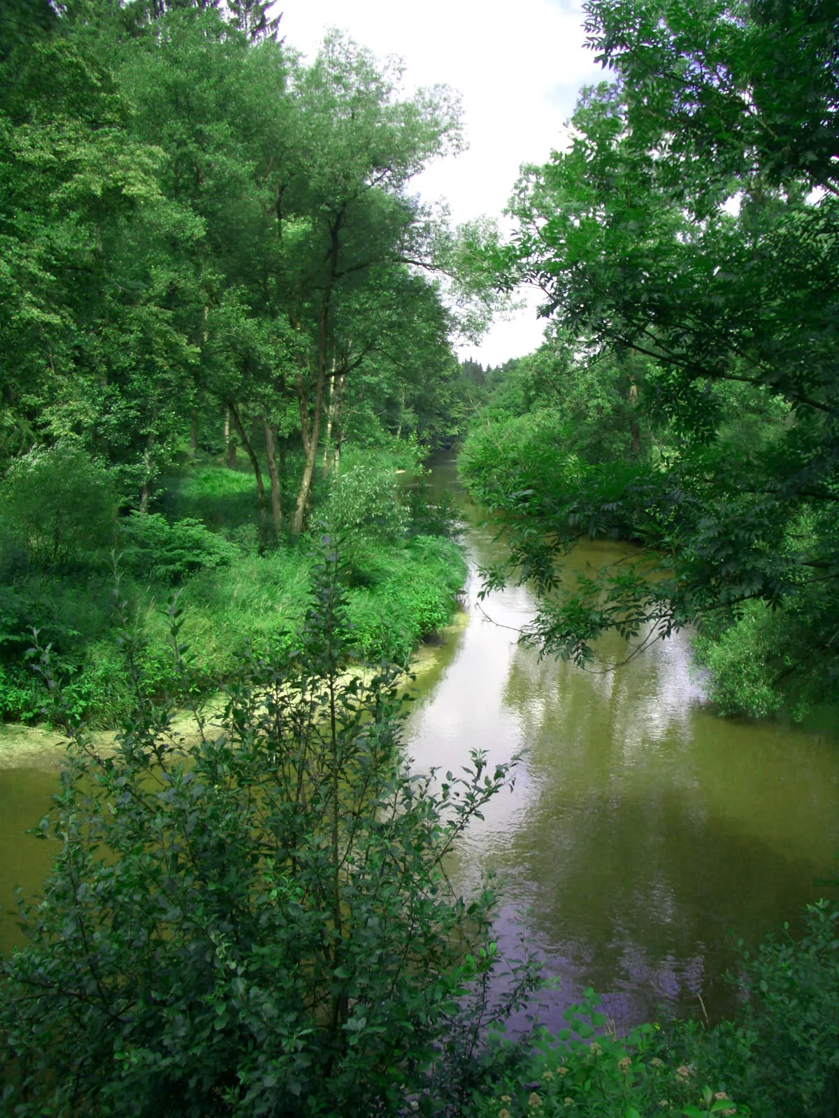 Photo showing: Aist river near Hohensteg (Schwertberg/Upper Austria)