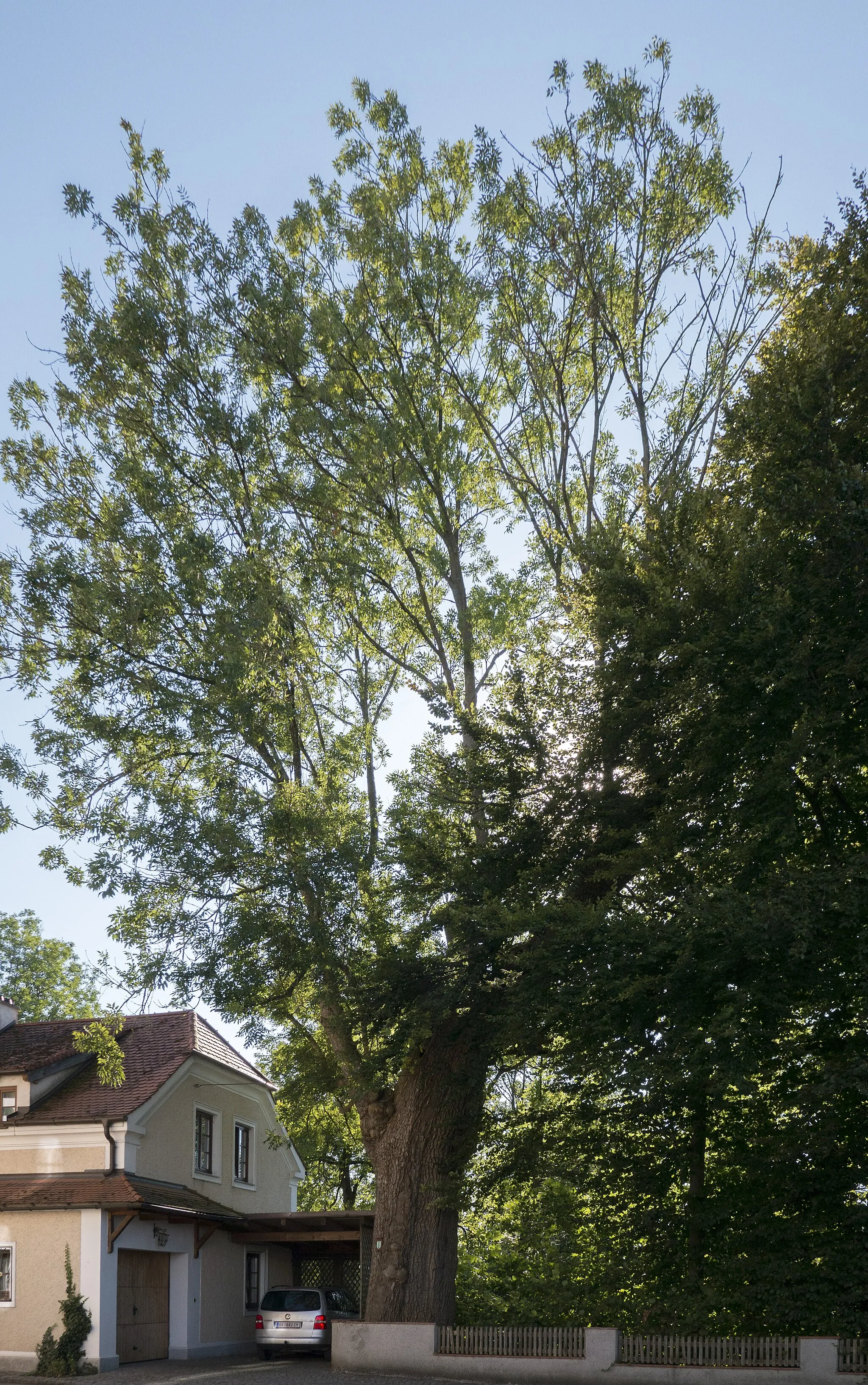 Photo showing: This media shows the natural monument in Upper Austria  with the ID nd087.