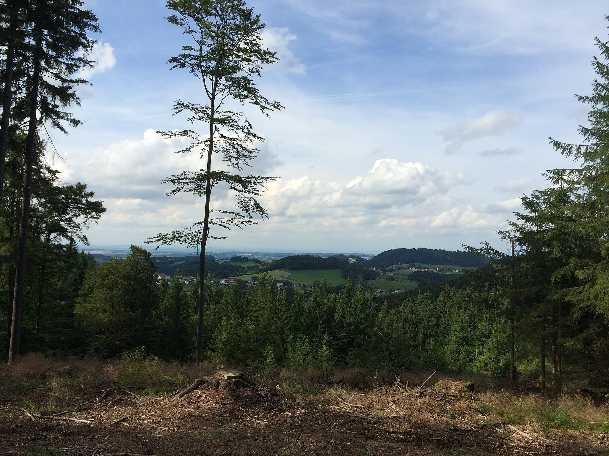 Photo showing: Blick vom Kobernaußerwald über die Ortschaften Stelzen und Kobernaußen