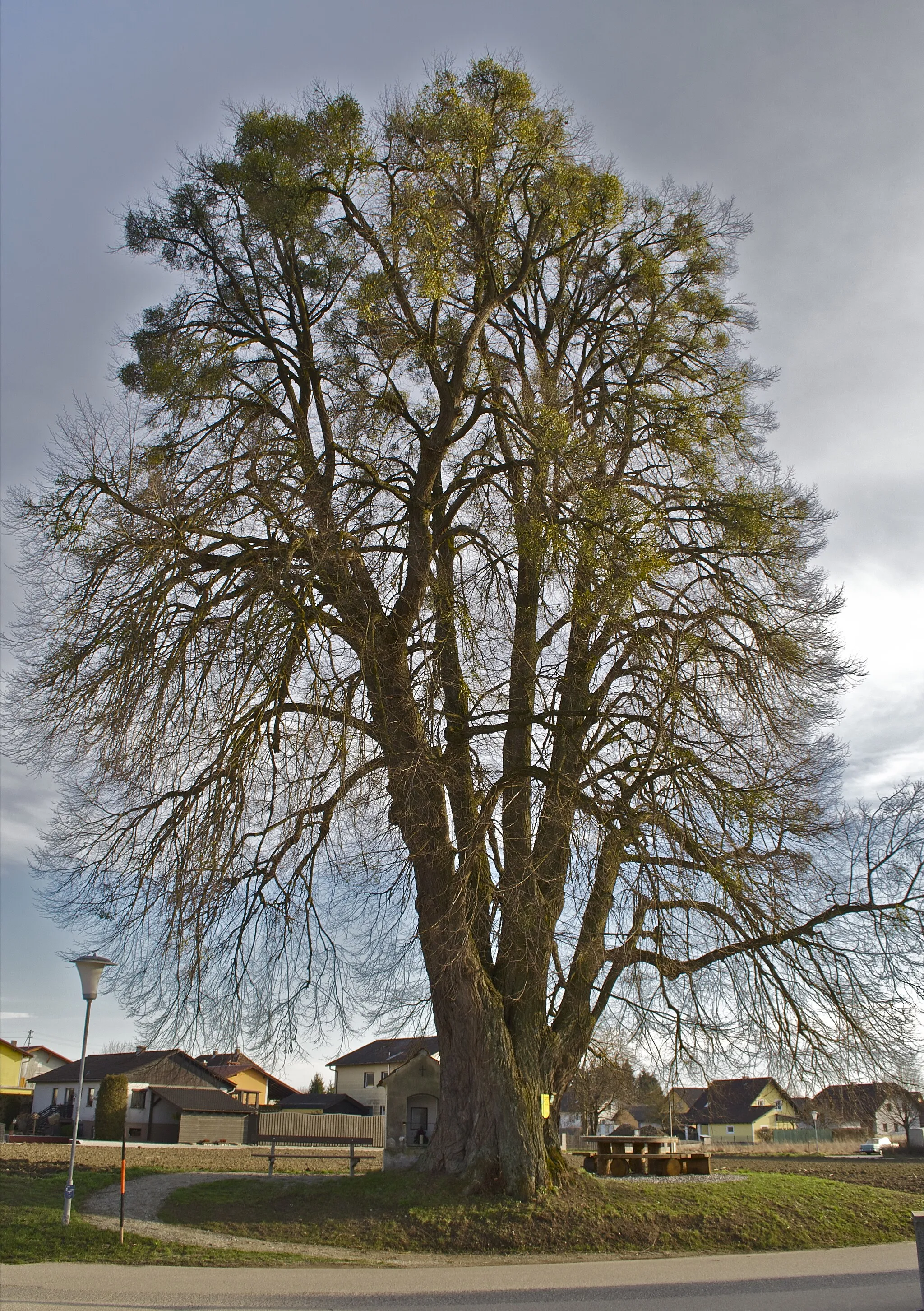 Photo showing: This media shows the natural monument in Upper Austria  with the ID nd458.