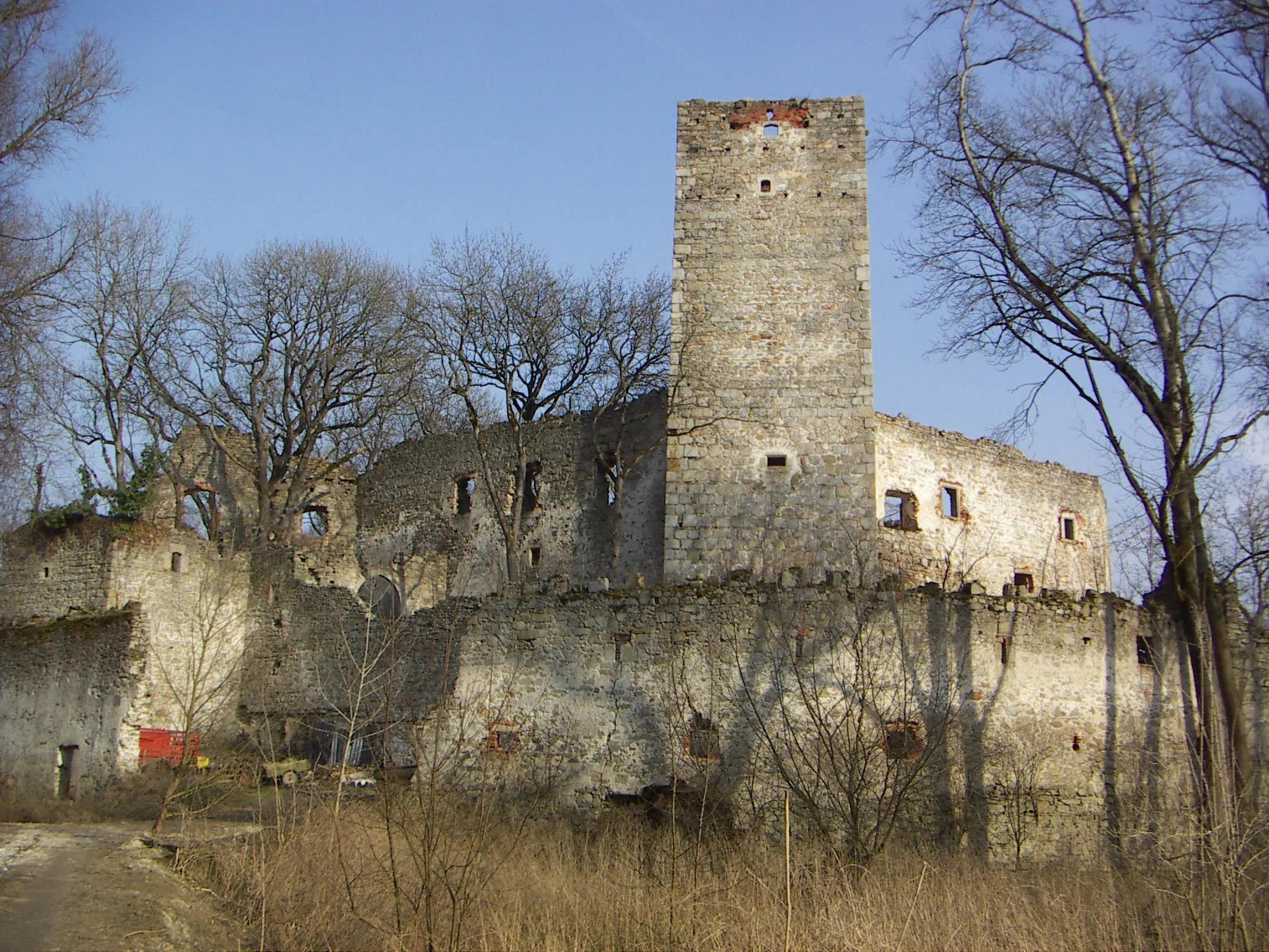 Photo showing: Ruins of former Spielberg Castle at Langenstein, Upper-Austria from the West

This media shows the protected monument with the number 21486 in Austria. (Commons, de, Wikidata)