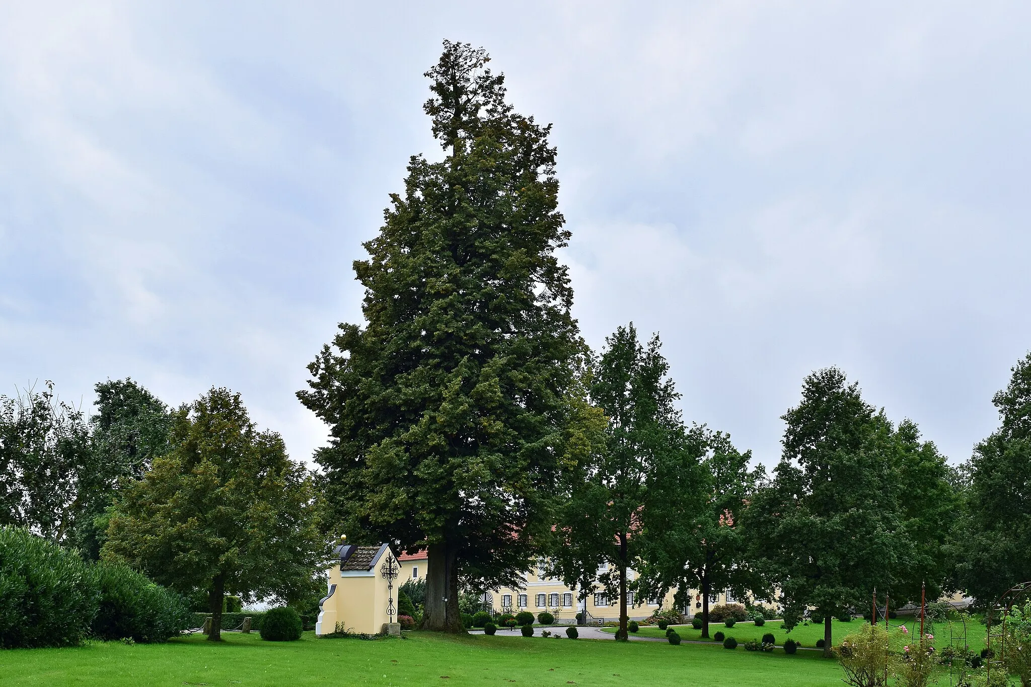 Photo showing: This media shows the natural monument in Upper Austria  with the ID nd233.