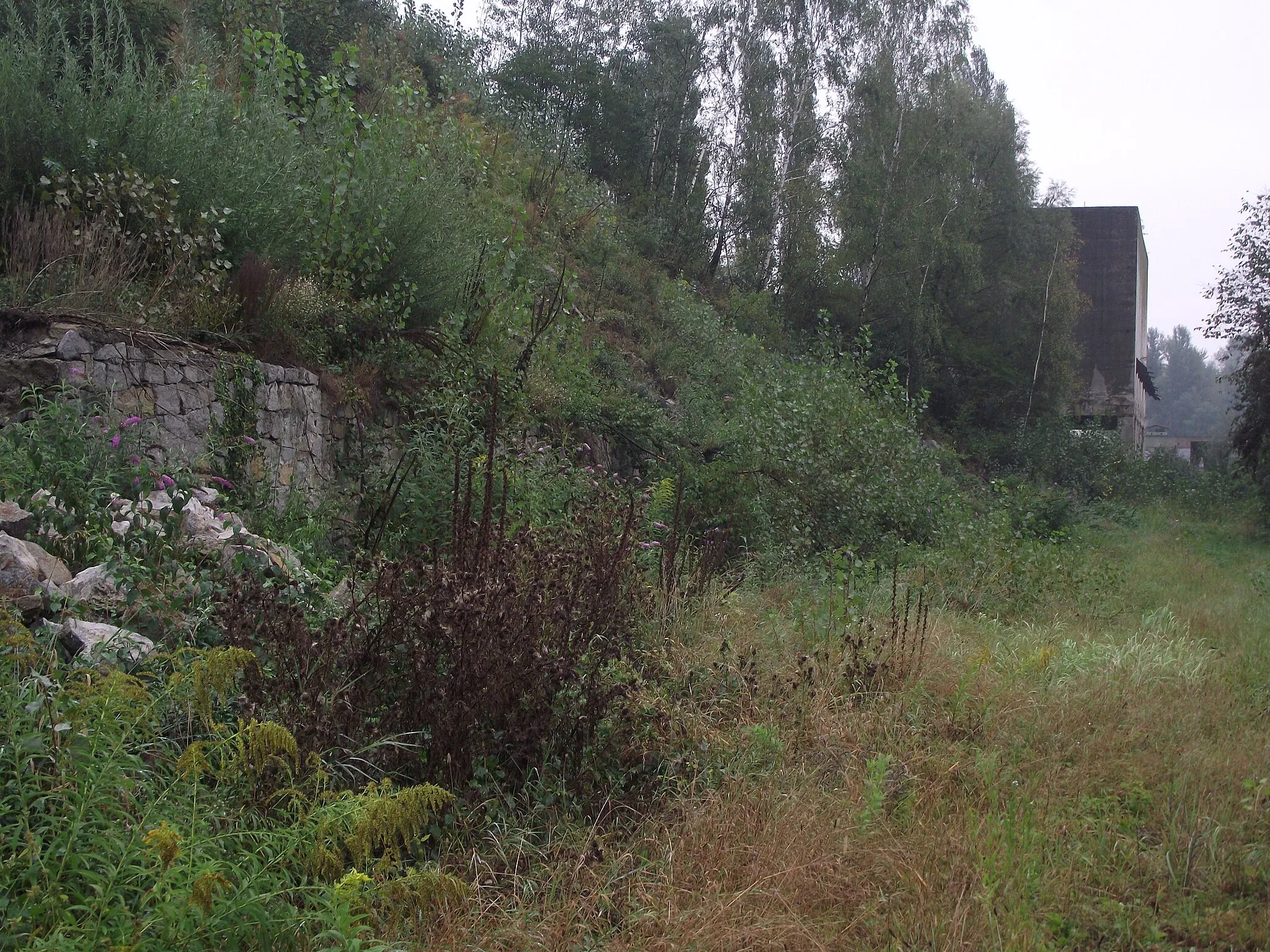 Photo showing: Teilstück der Schleppbahntrasse mit Stützmauer