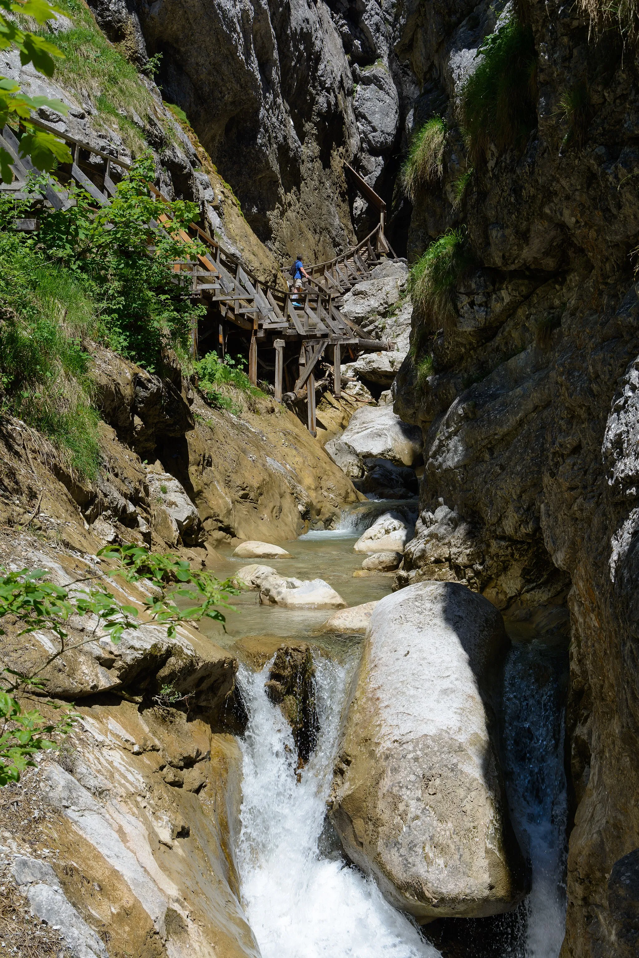 Photo showing: This media shows the natural monument in Styria  with the ID 930.