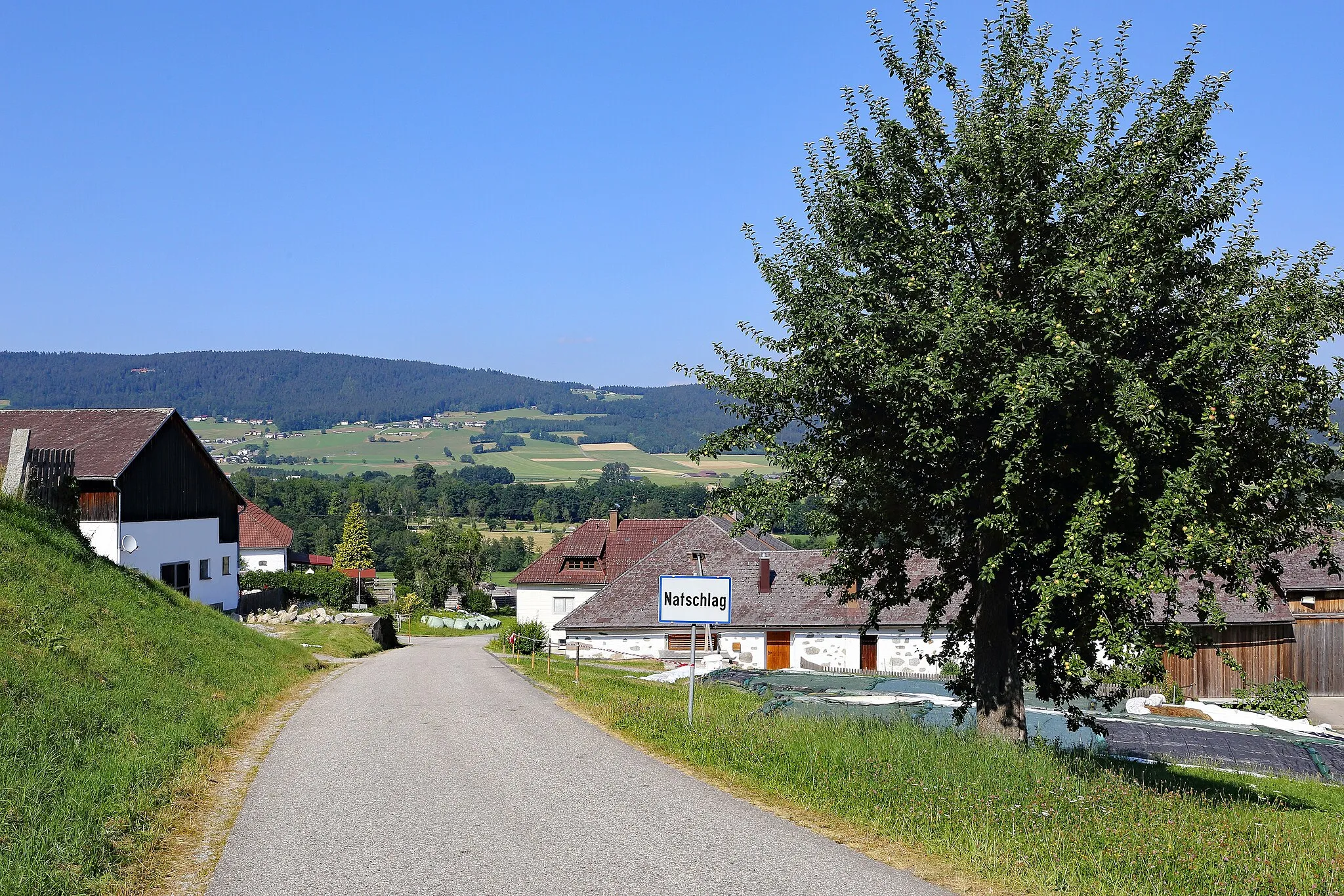 Photo showing: Natschlag (Gemeinde Aigen-Schlägl) von Südwest