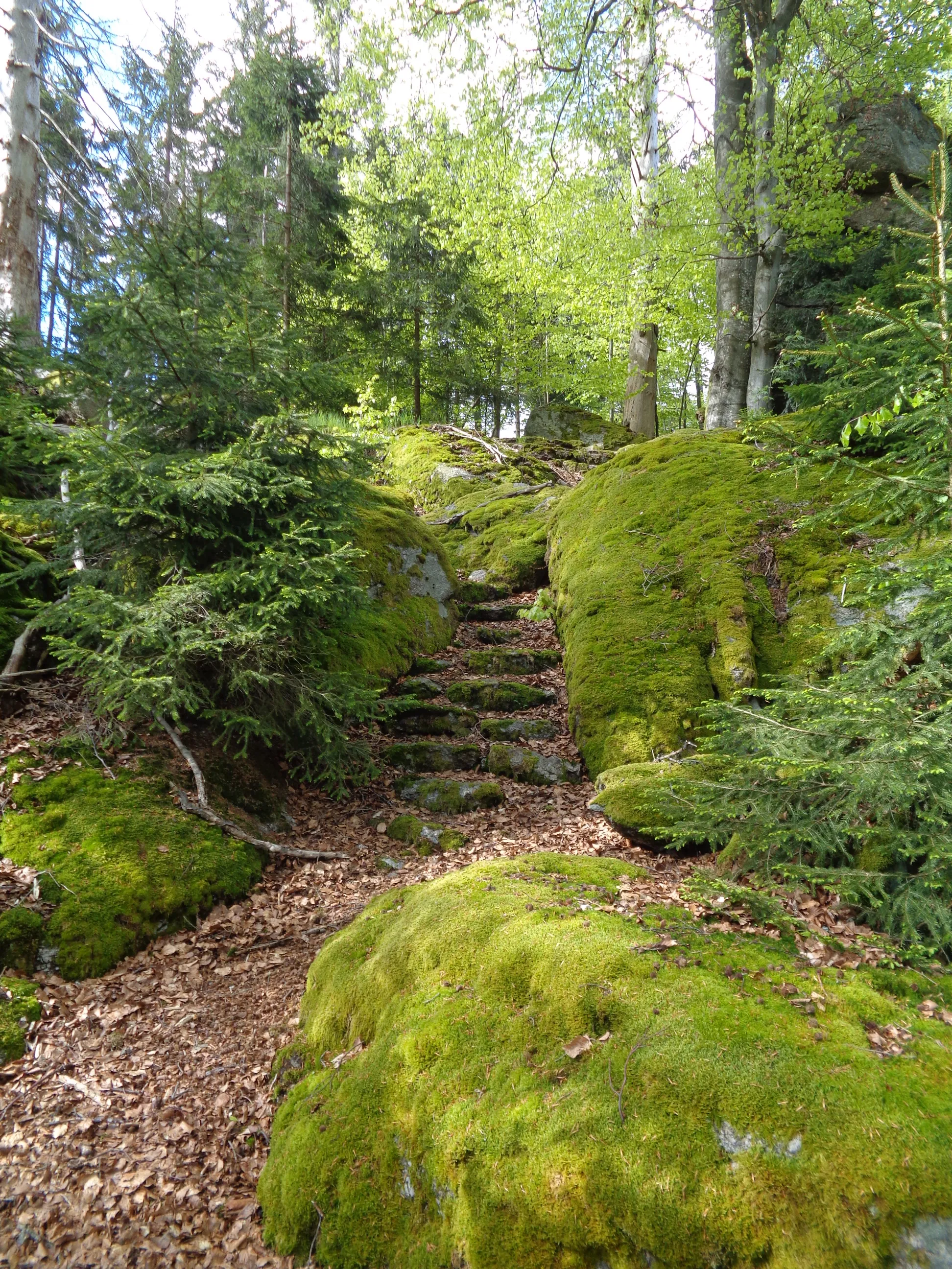 Photo showing: Kamenné schody vedoucí vrchol Stříbrného vrchu v Novohradských horách