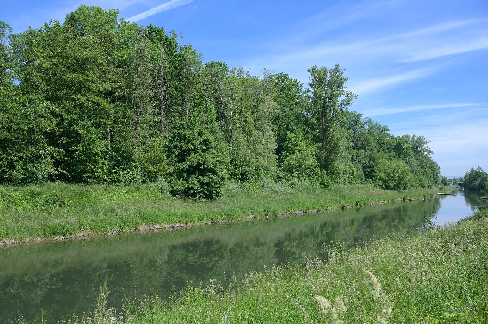 Photo showing: This media shows the nature reserve in Upper Austria  with the ID n158.