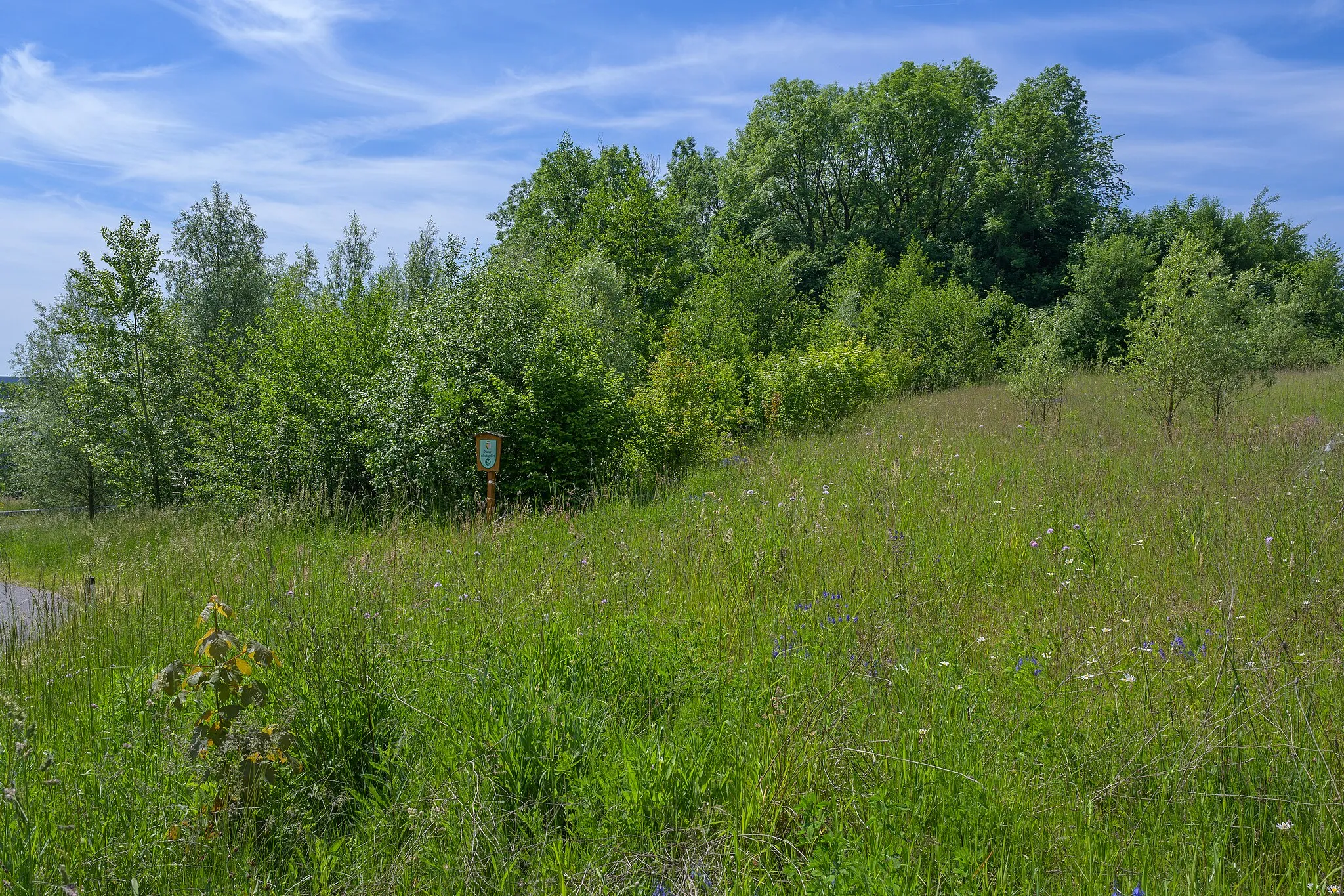 Photo showing: The nature reserve Hangwälder Ritzlhof (n158) is located on the left side of the Krems river in Ansfelden