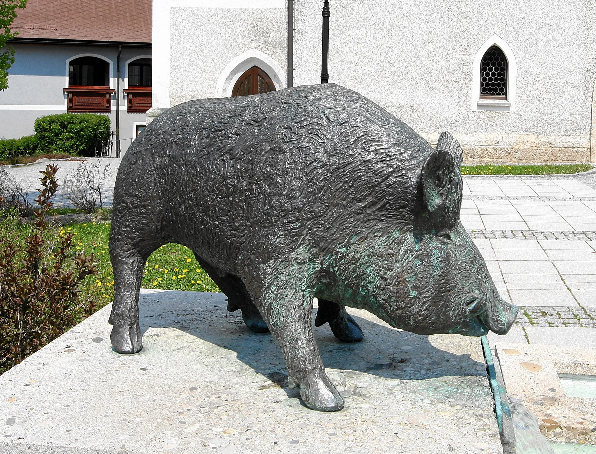 Photo showing: A boar (male pig, in German "Eber"), the symbol of Eberschwang