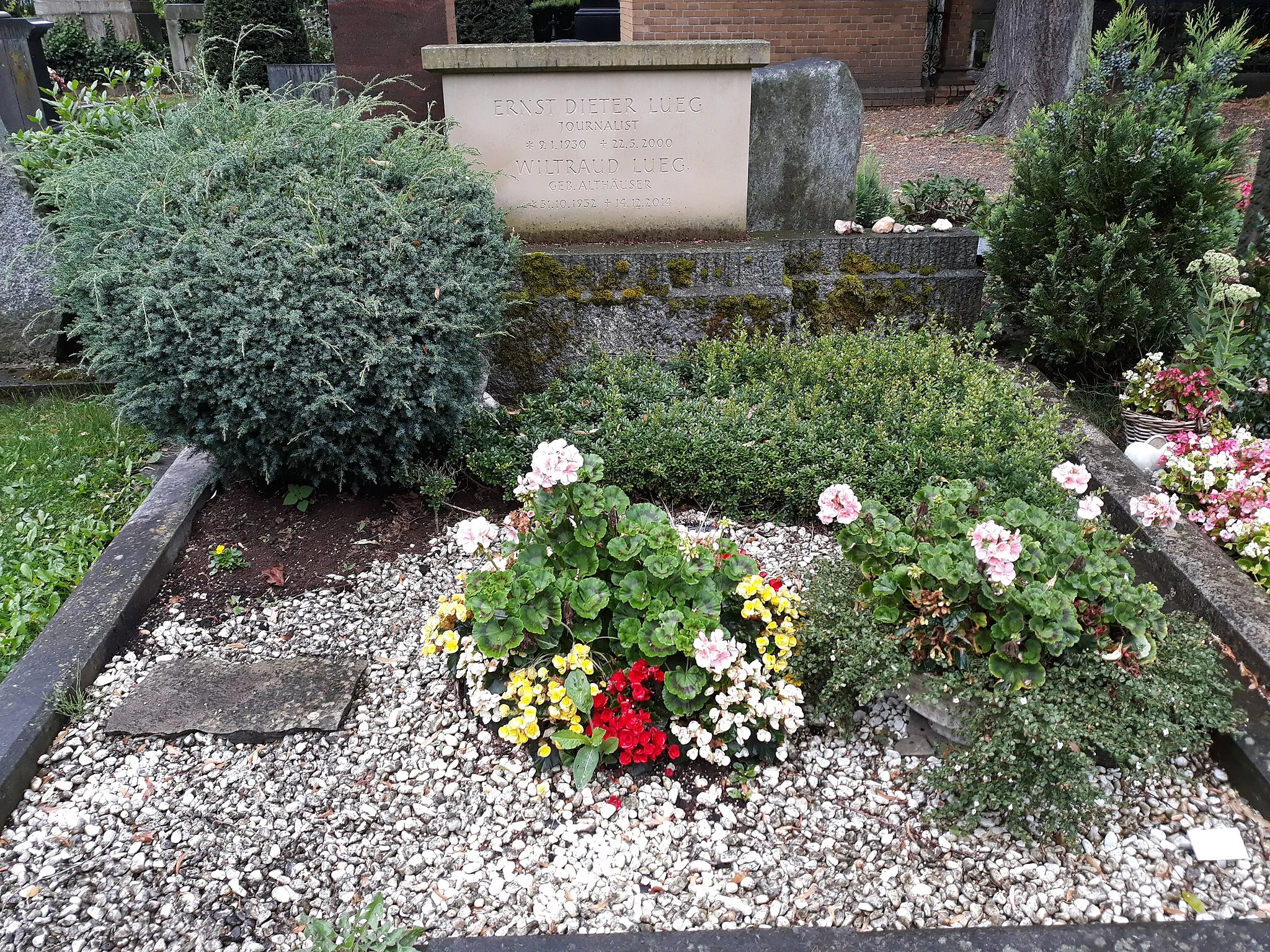 Photo showing: Das Grab des deutschen Journalisten Ernst-Dieter Lueg und seiner Ehefrau Wiltarud geborene Althäuser auf dem Burgfriedhof in Bonn-Bad Godesberg.