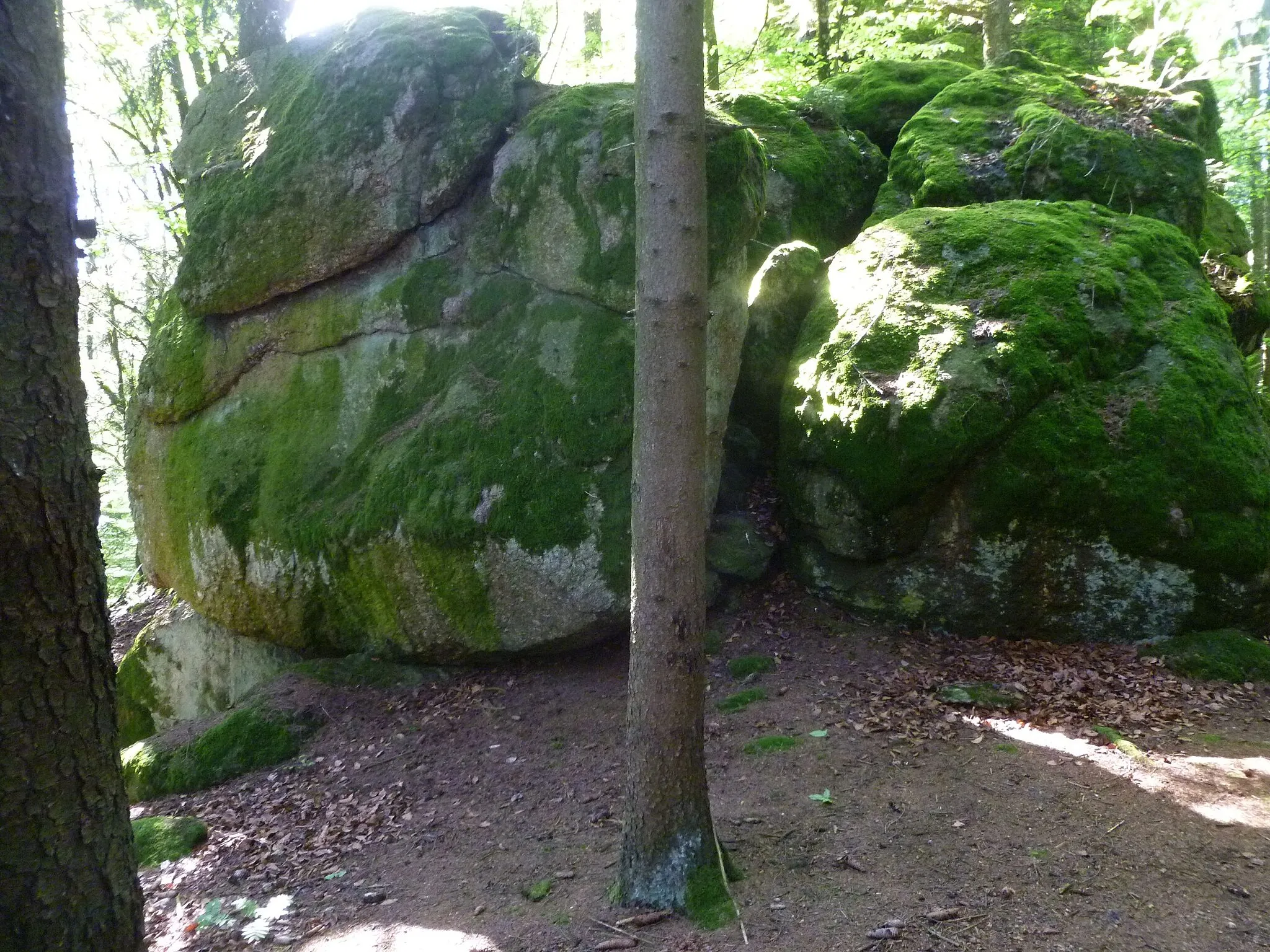 Photo showing: Burgruine Rotenfels: Mauerreste