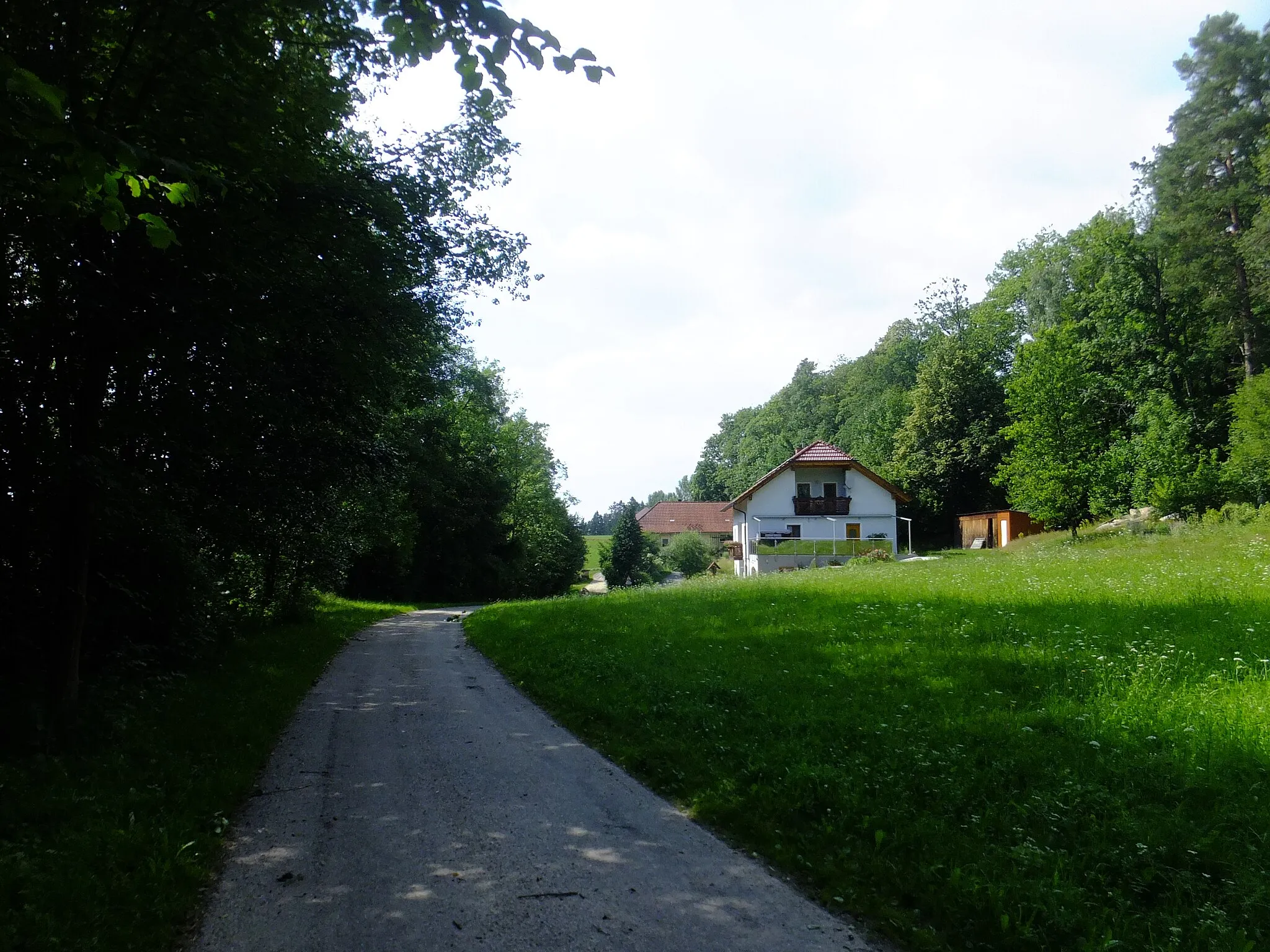 Photo showing: Labach (Rainbach im Mühlkreis)