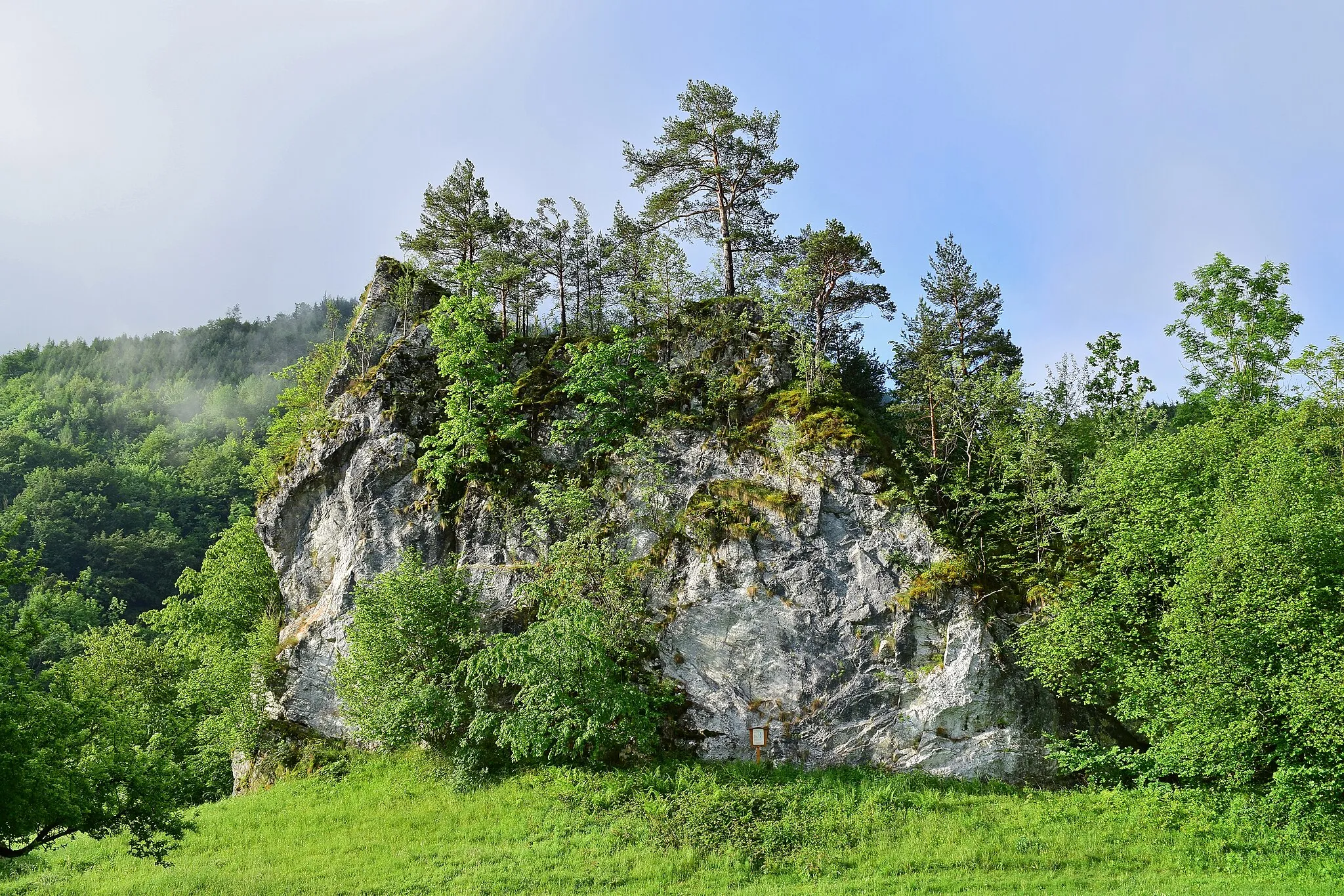 Photo showing: This media shows the natural monument in Upper Austria  with the ID nd289.