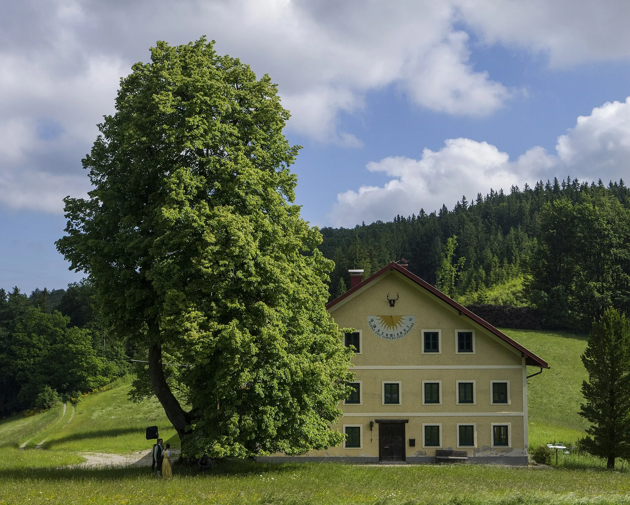 Photo showing: This media shows the natural monument in Upper Austria  with the ID nd045.