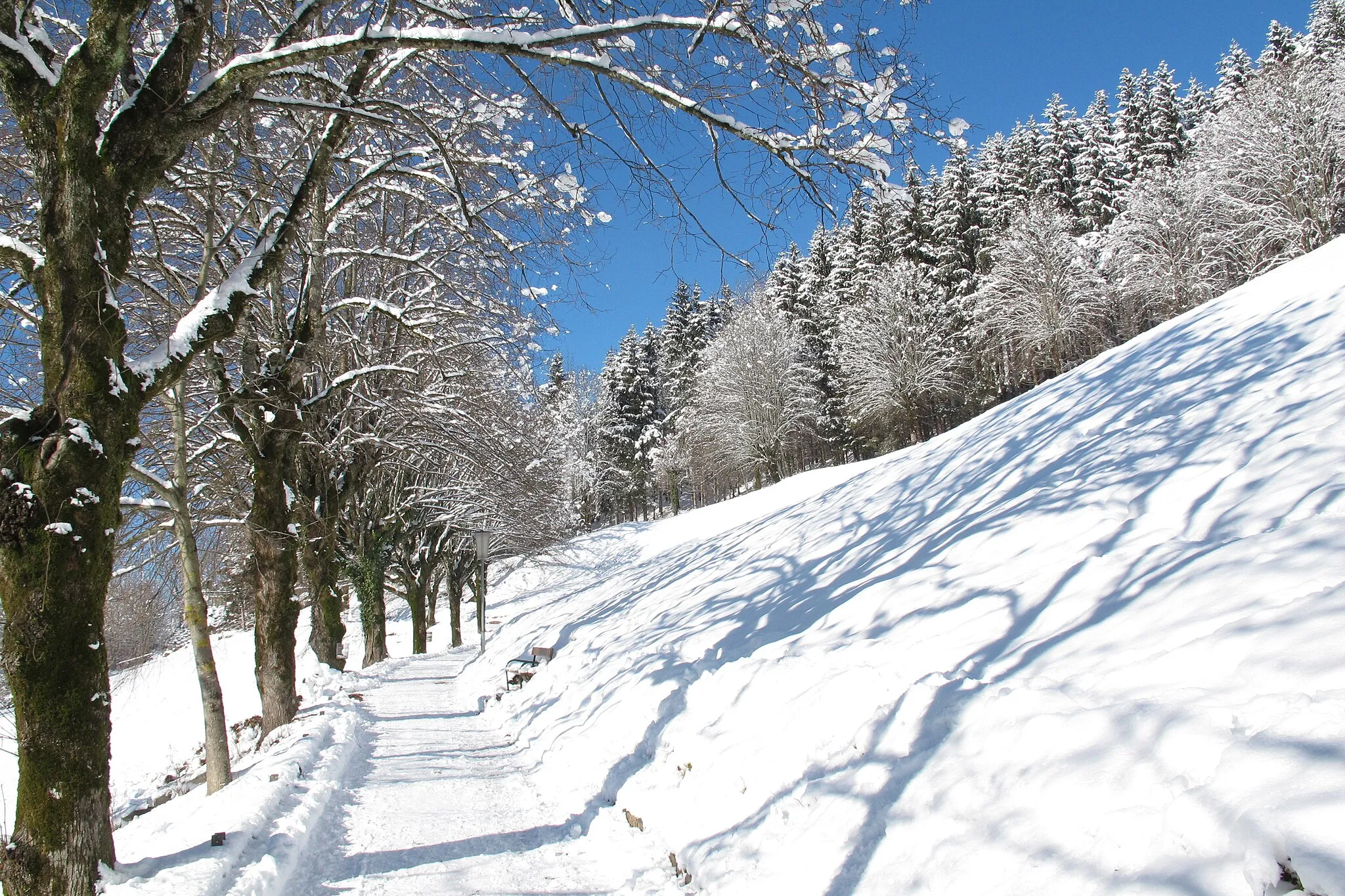 Photo showing: Bergstraße in St. Wolfgang